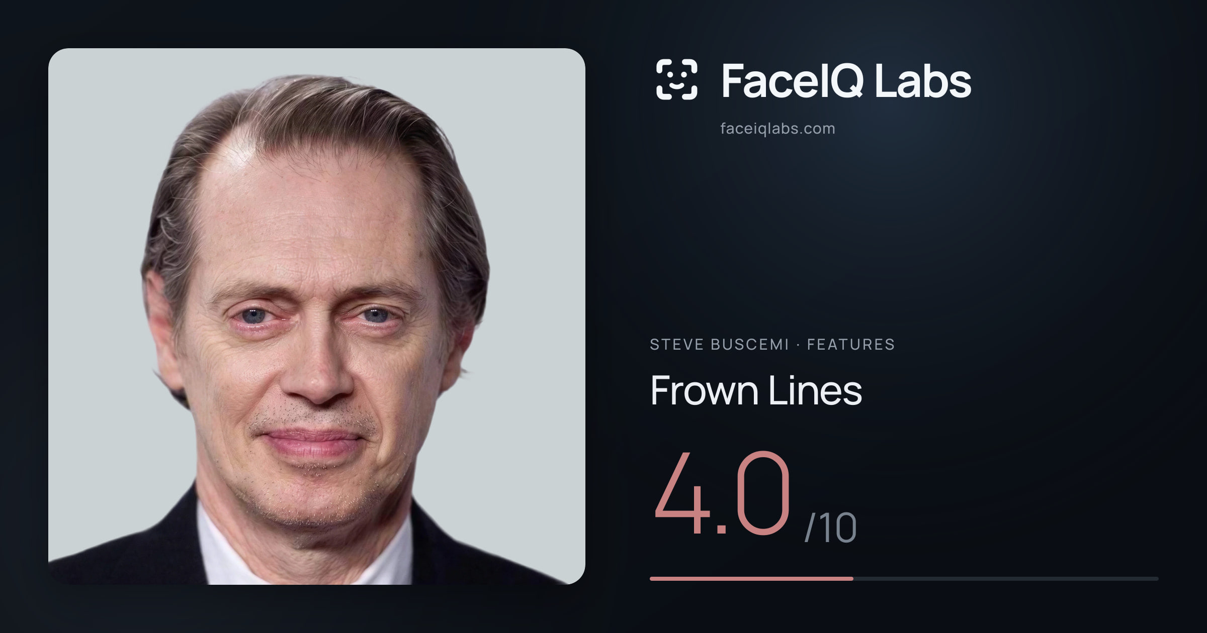 Steve Buscemi Frown Lines: 4.0/10, drawn on the photo
