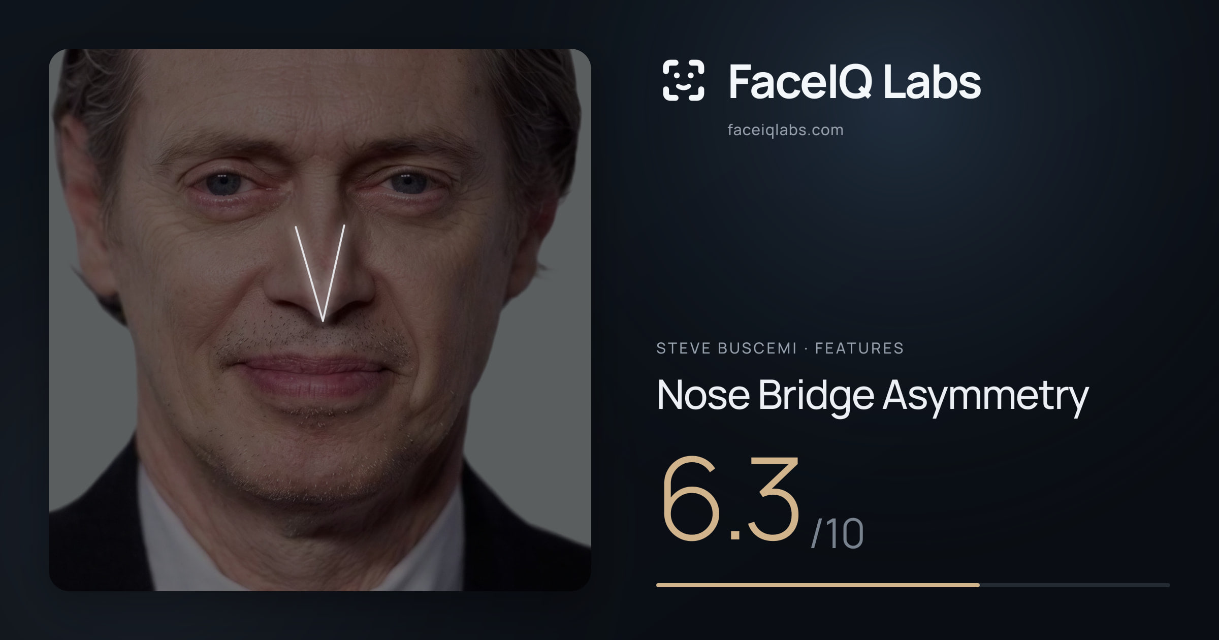 Steve Buscemi Nose Bridge Asymmetry: 6.3/10, drawn on the photo