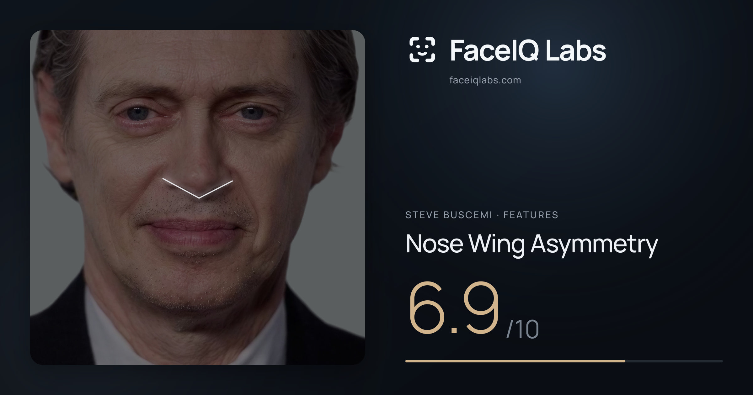 Steve Buscemi Nose Wing Asymmetry: 6.9/10, drawn on the photo