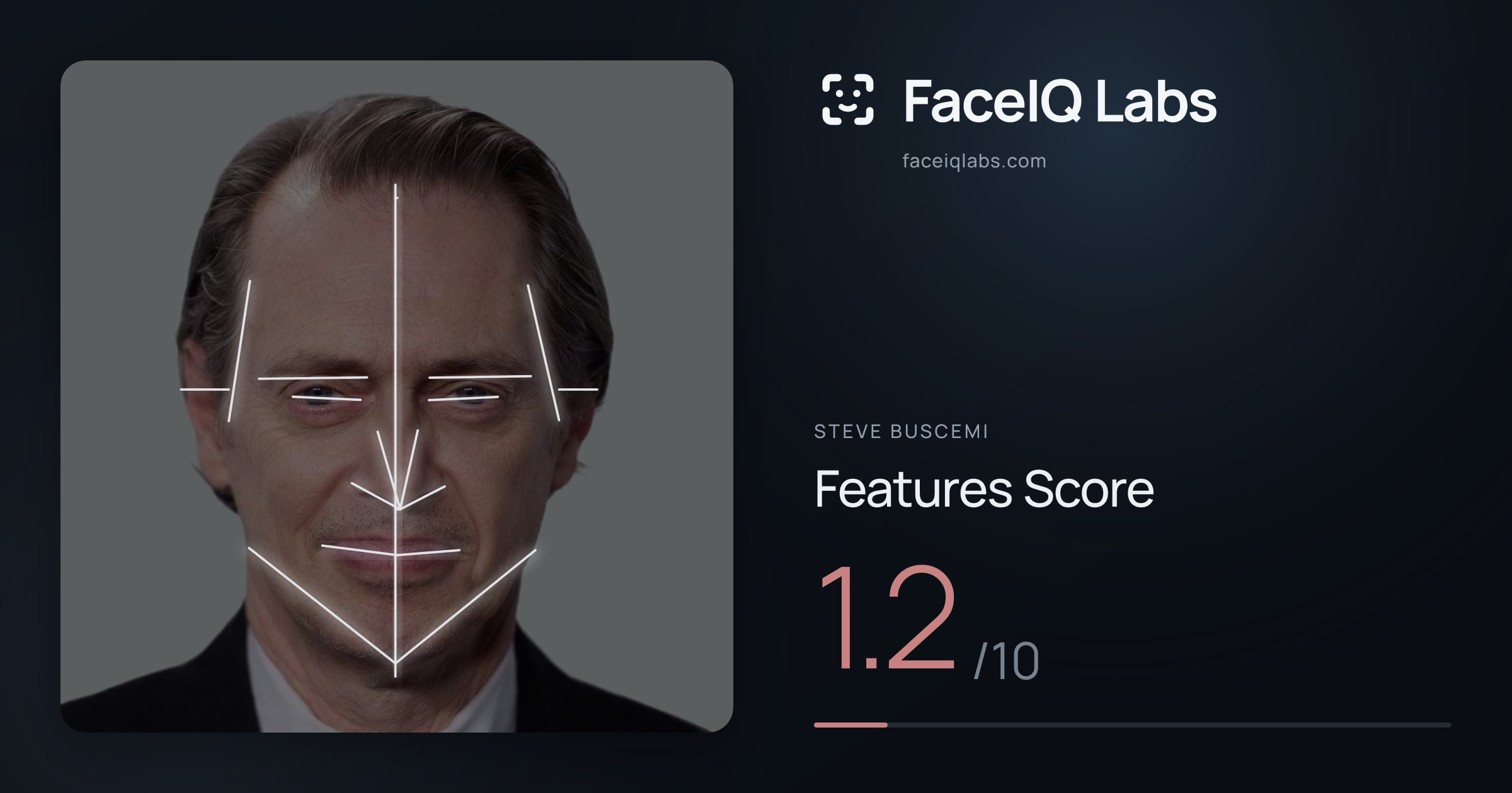 Steve Buscemi Features: 1.2/10, with each assessment drawn on the photo