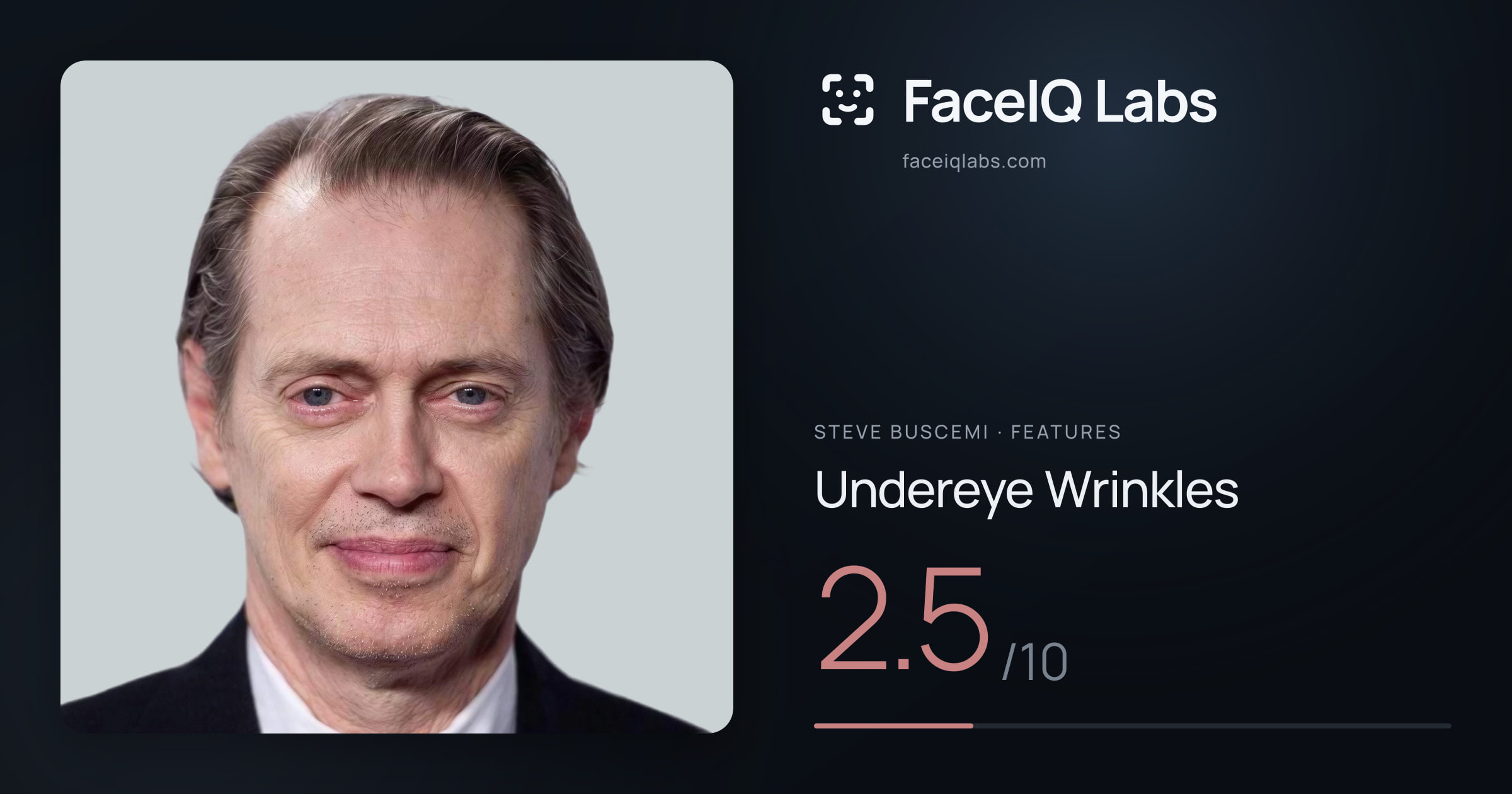 Steve Buscemi Undereye Wrinkles: 2.5/10, drawn on the photo