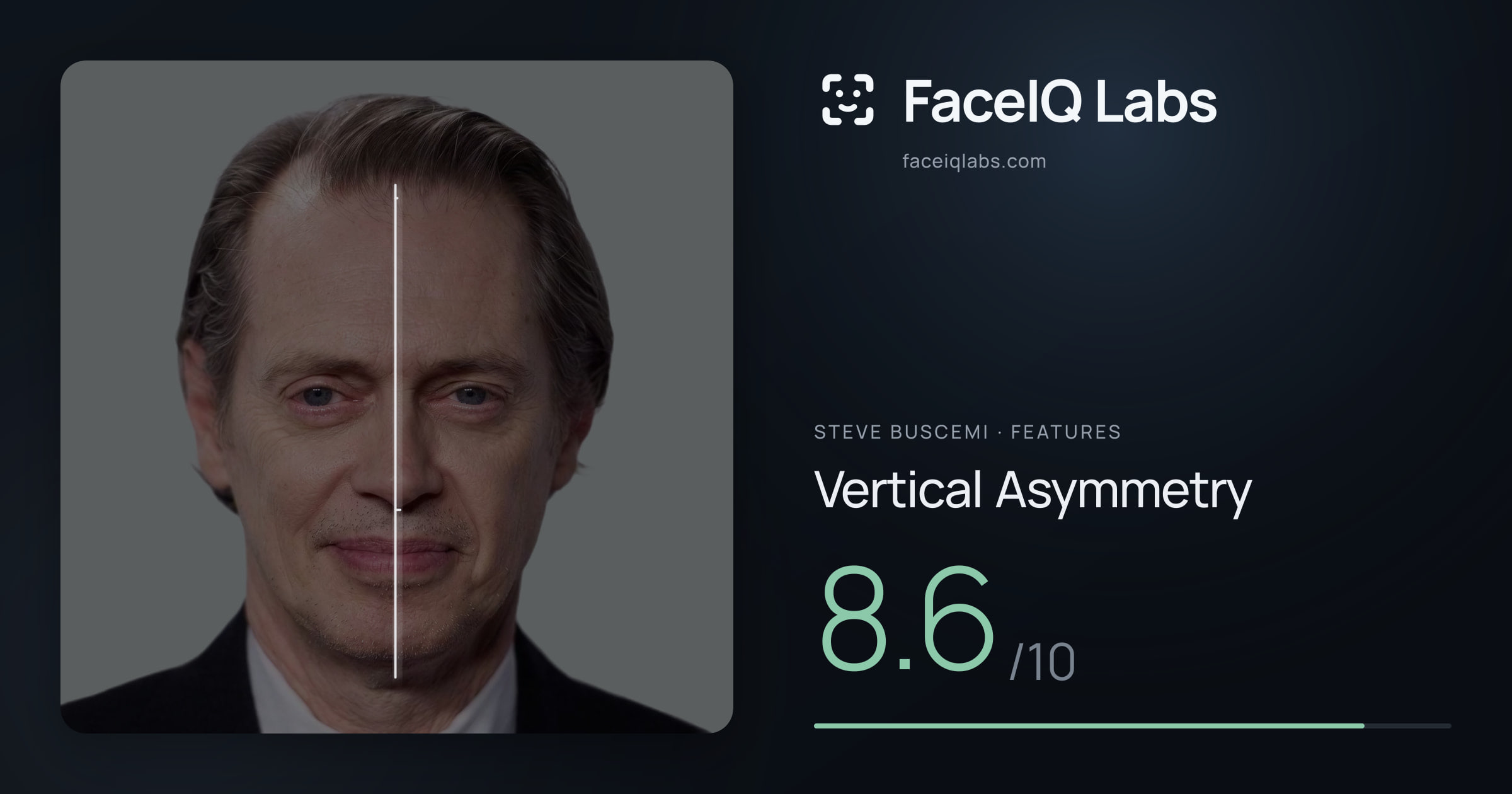 Steve Buscemi Vertical Asymmetry: 8.6/10, drawn on the photo