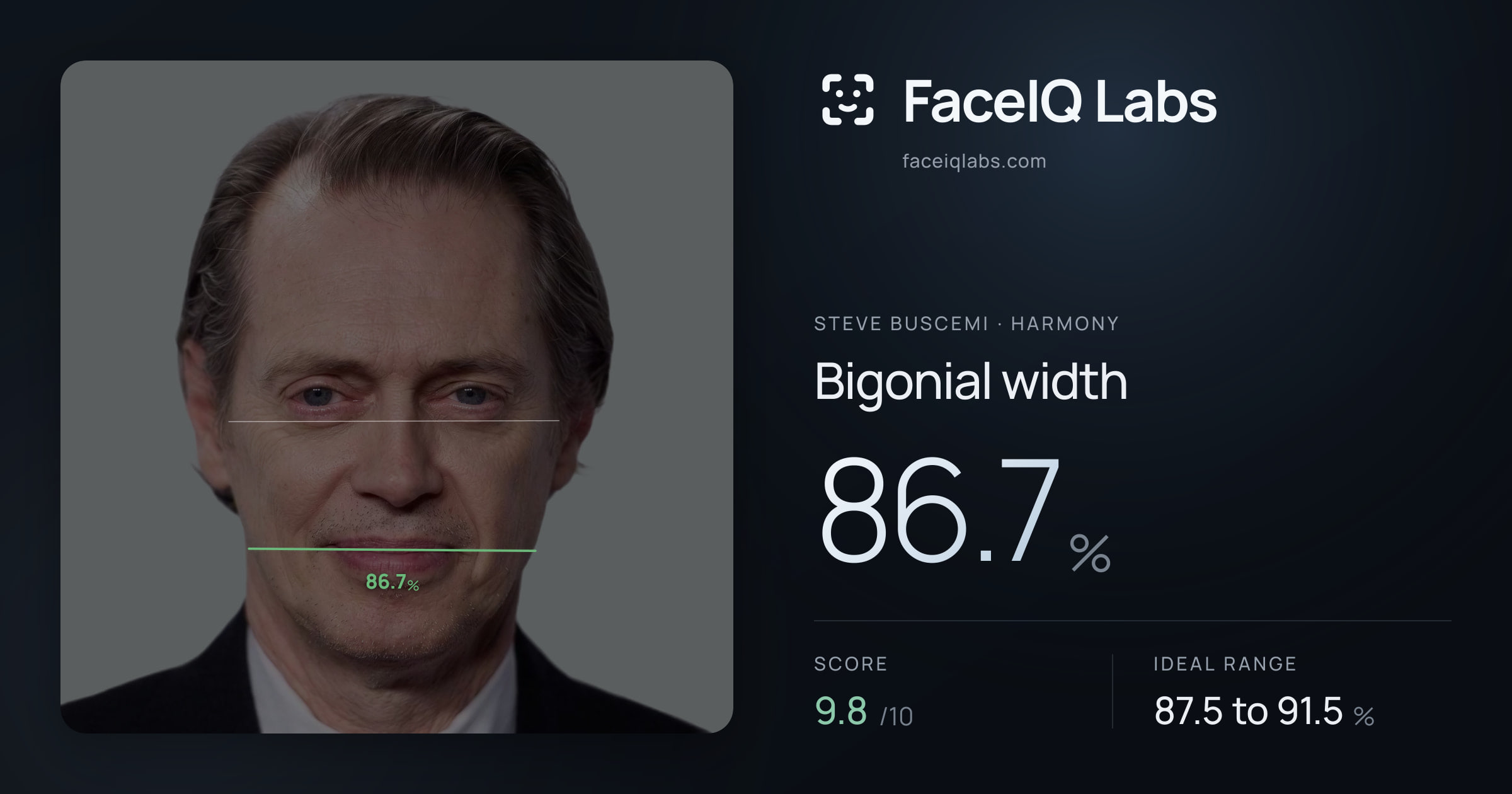 Steve Buscemi Bigonial width: 86.7%, drawn on the photo