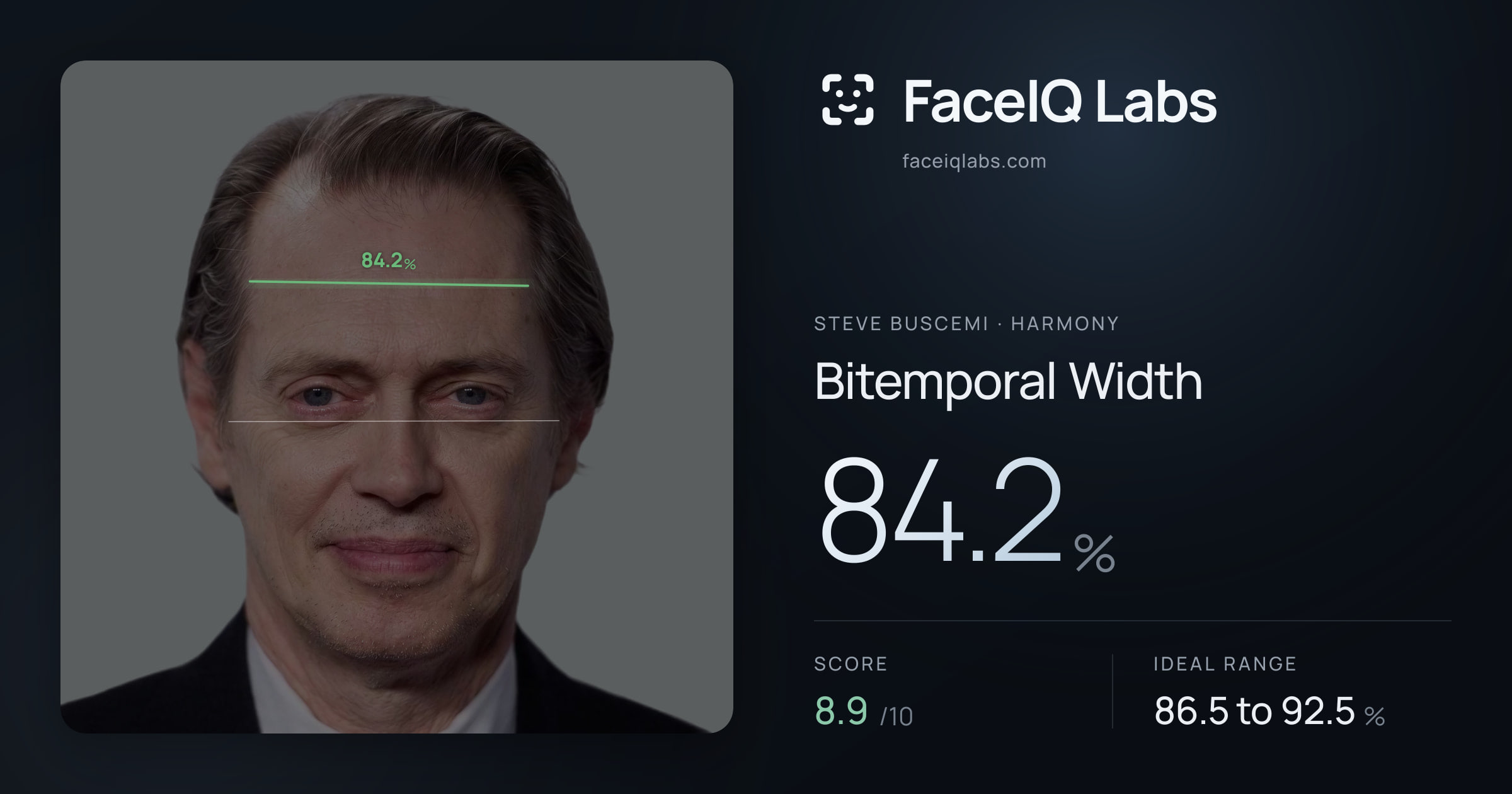Steve Buscemi Bitemporal Width: 84.2%, drawn on the photo