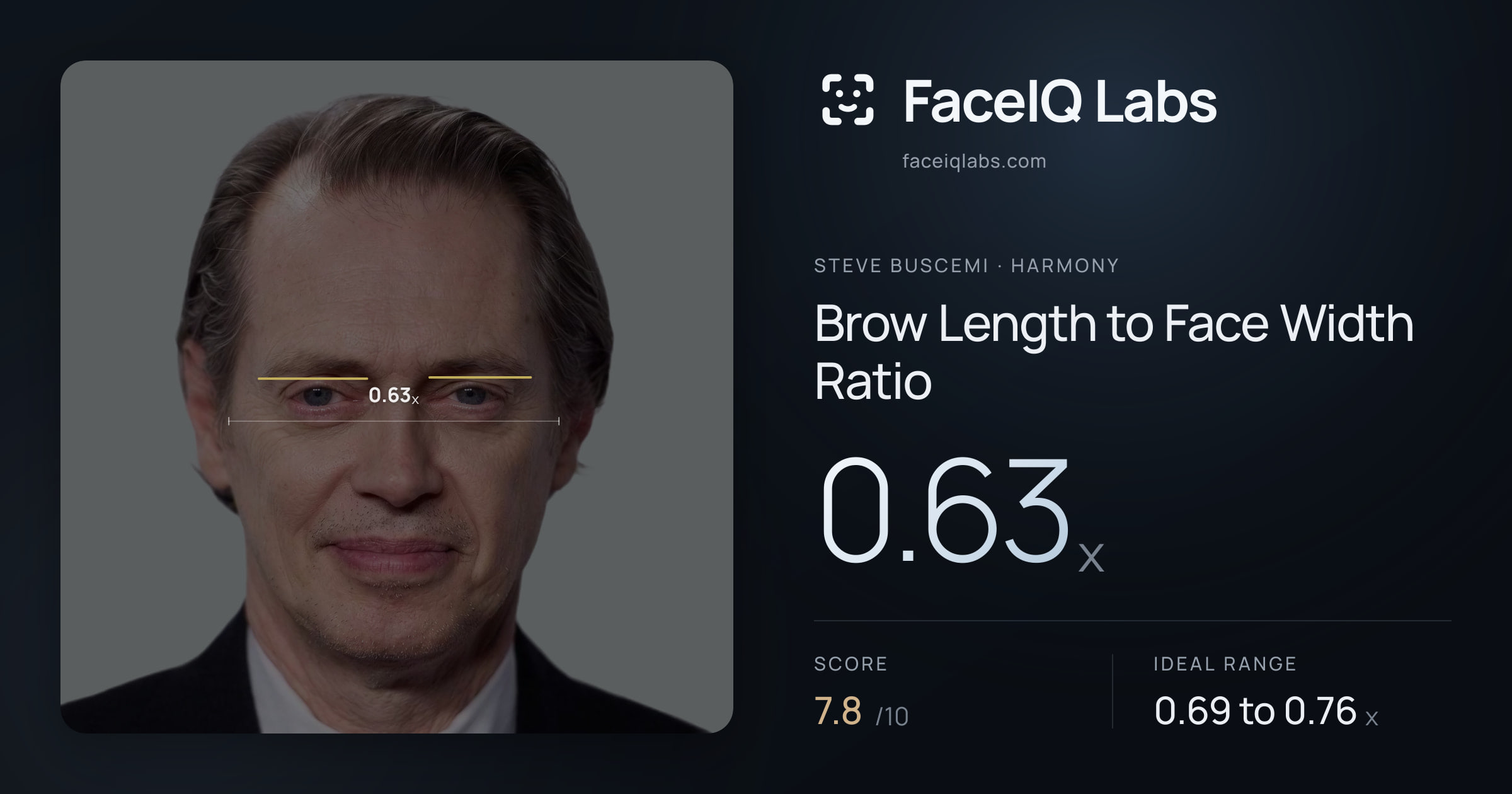 Steve Buscemi Brow Length to Face Width Ratio: 0.63x, drawn on the photo