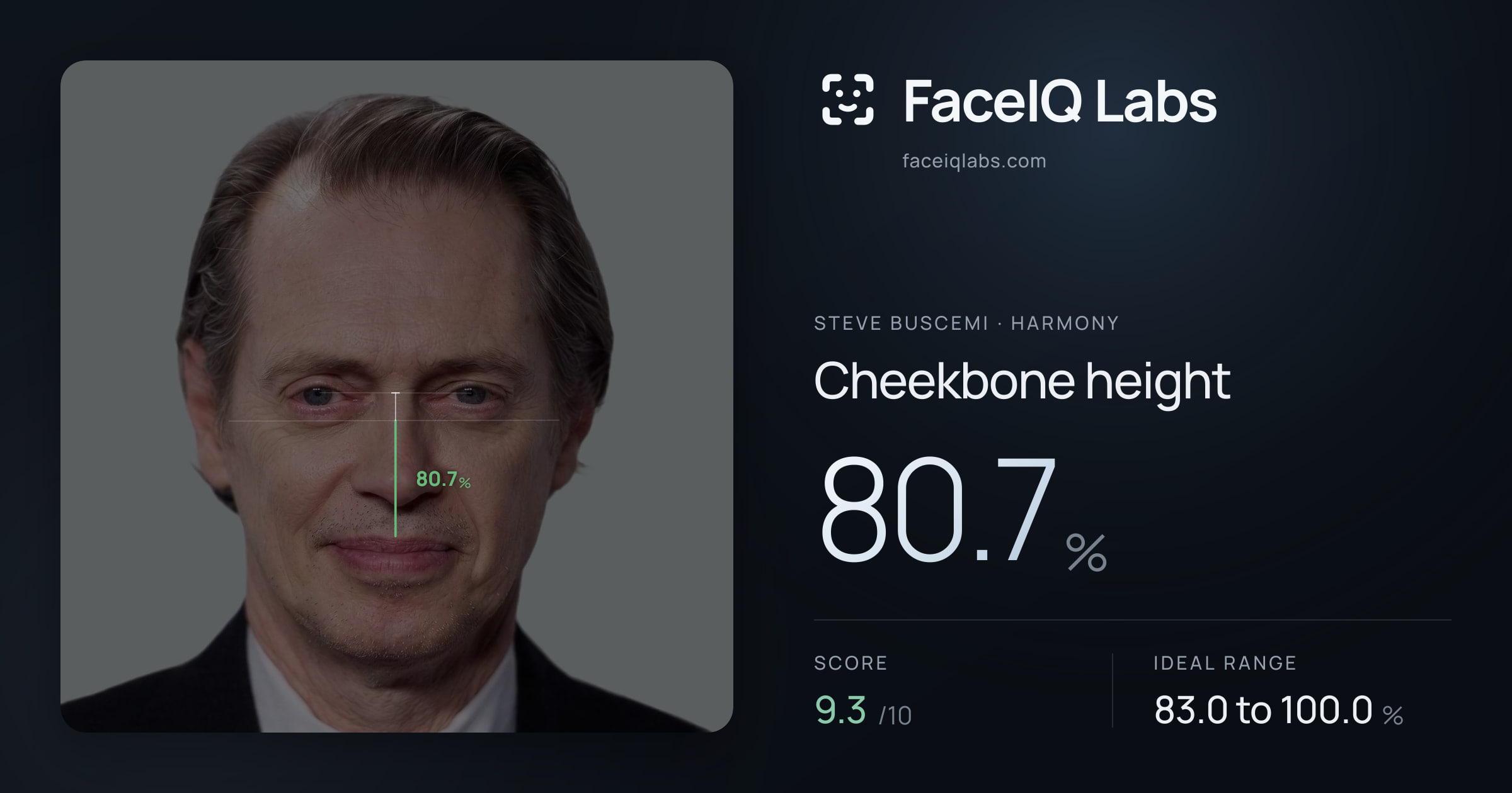 Steve Buscemi Cheekbone height: 80.7%, drawn on the photo