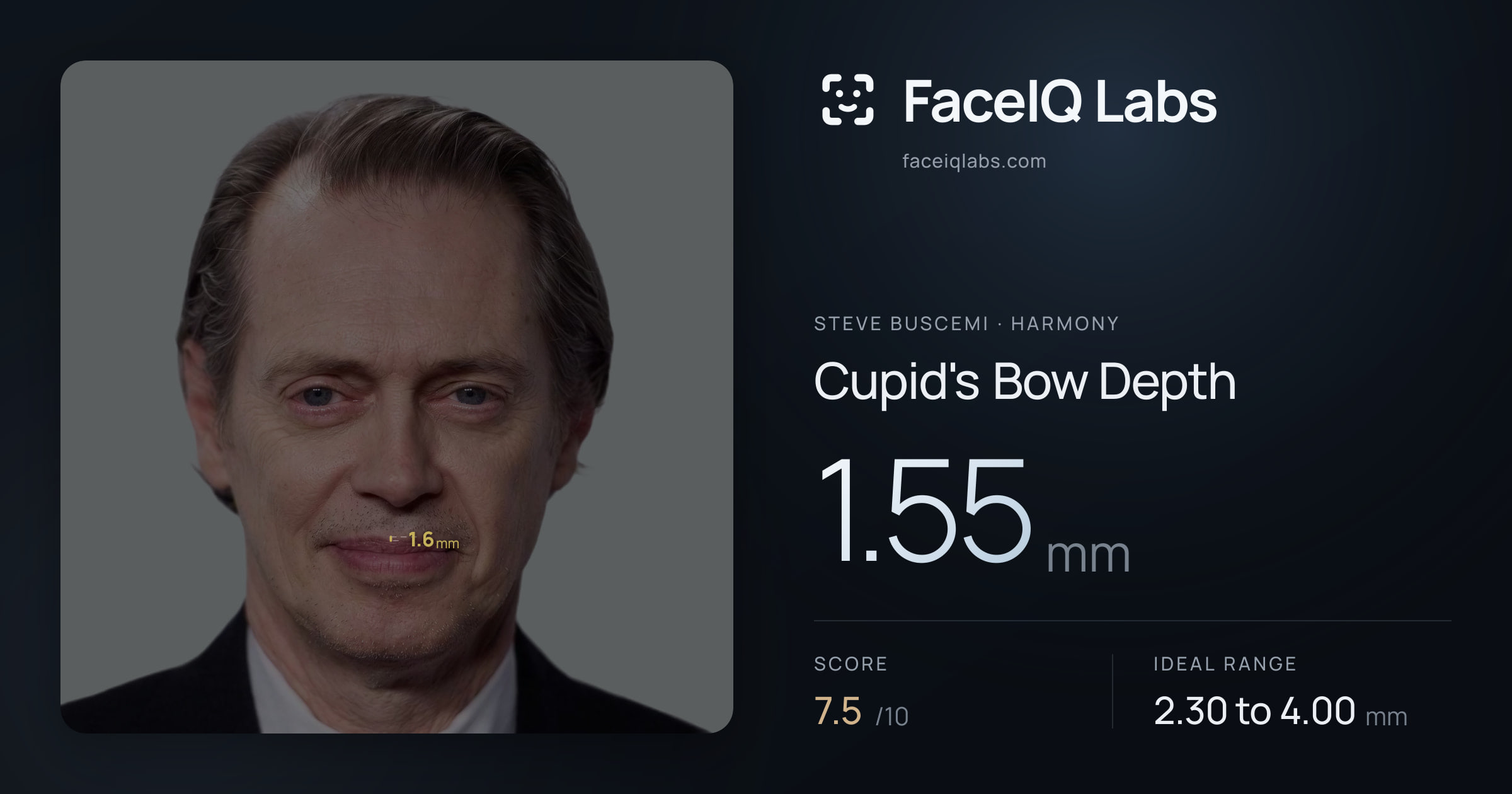 Steve Buscemi Cupid's Bow Depth: 1.55mm, drawn on the photo
