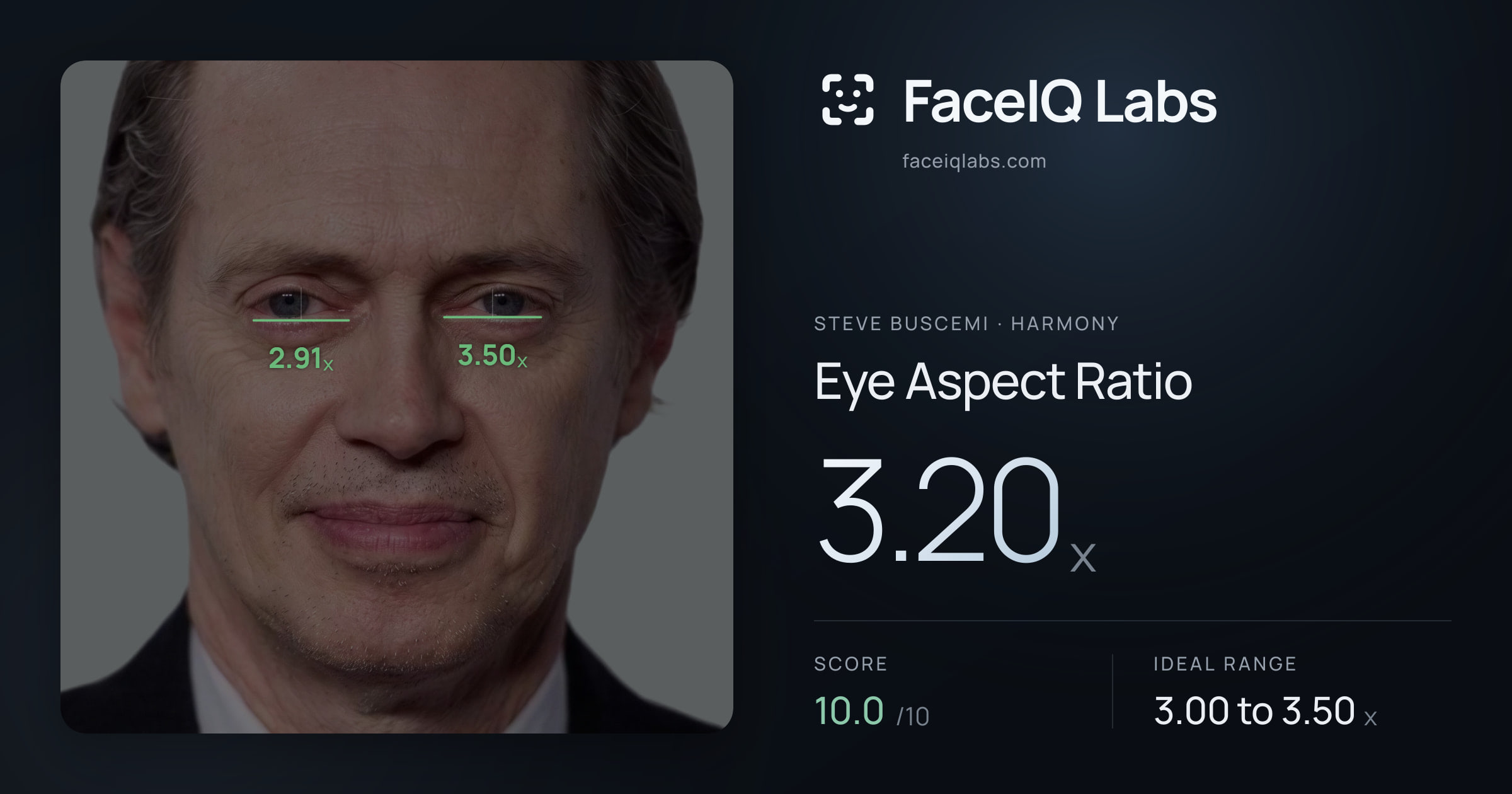 Steve Buscemi Eye Aspect Ratio: 3.20x, drawn on the photo