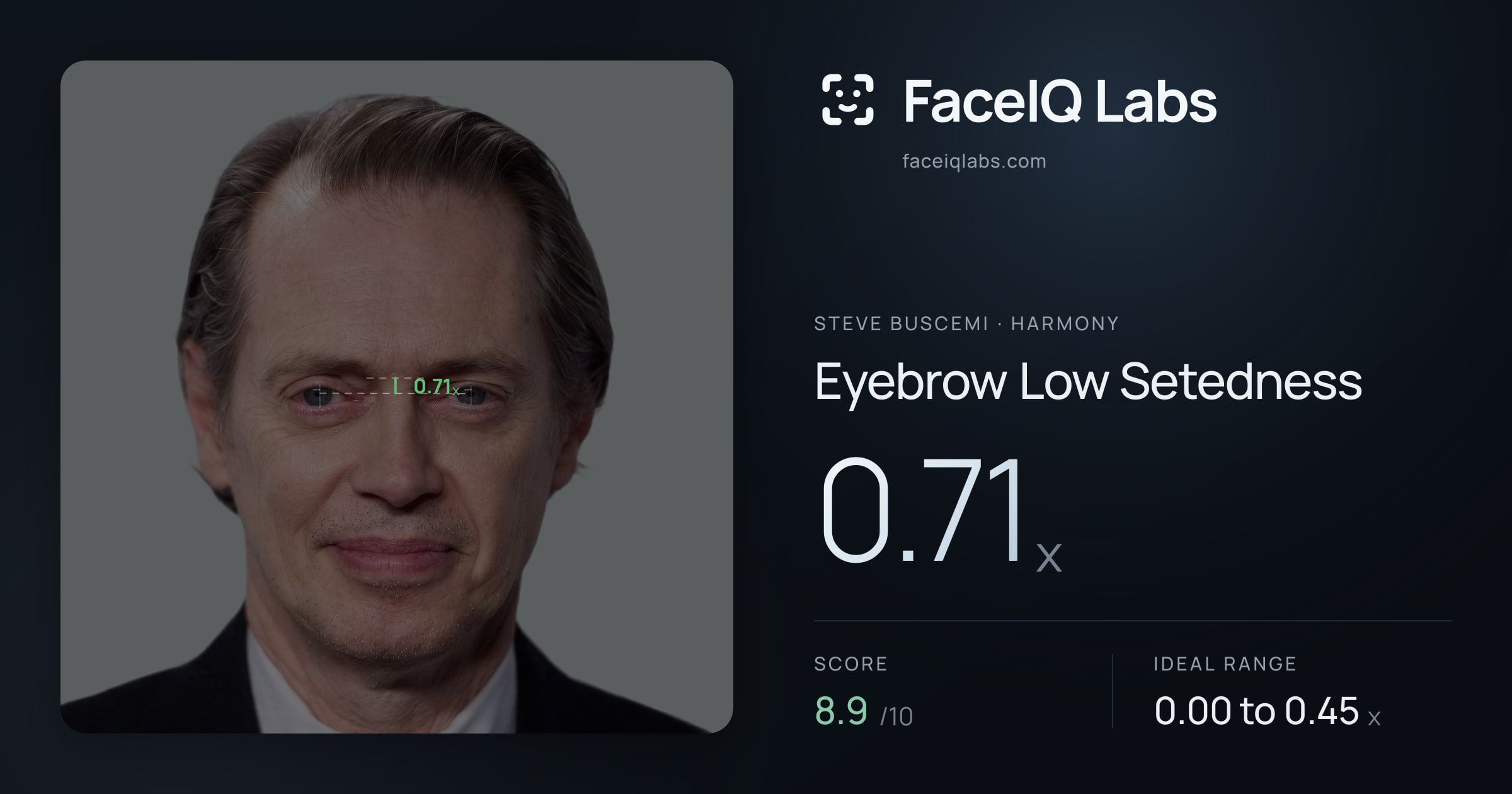 Steve Buscemi Eyebrow Low Setedness: 0.71x, drawn on the photo