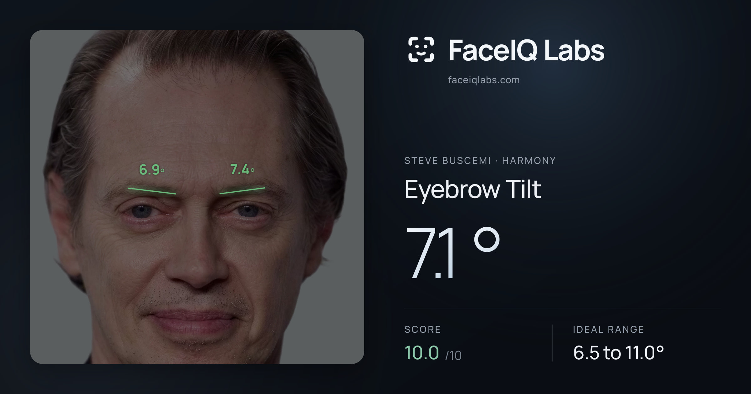 Steve Buscemi Eyebrow Tilt: 7.1°, drawn on the photo