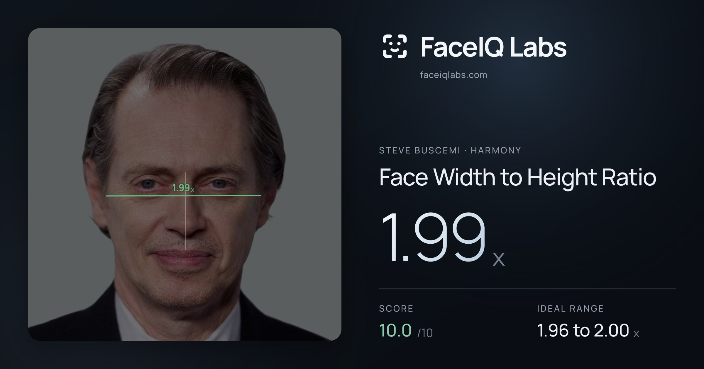 Steve Buscemi Face Width to Height Ratio: 1.99x, drawn on the photo