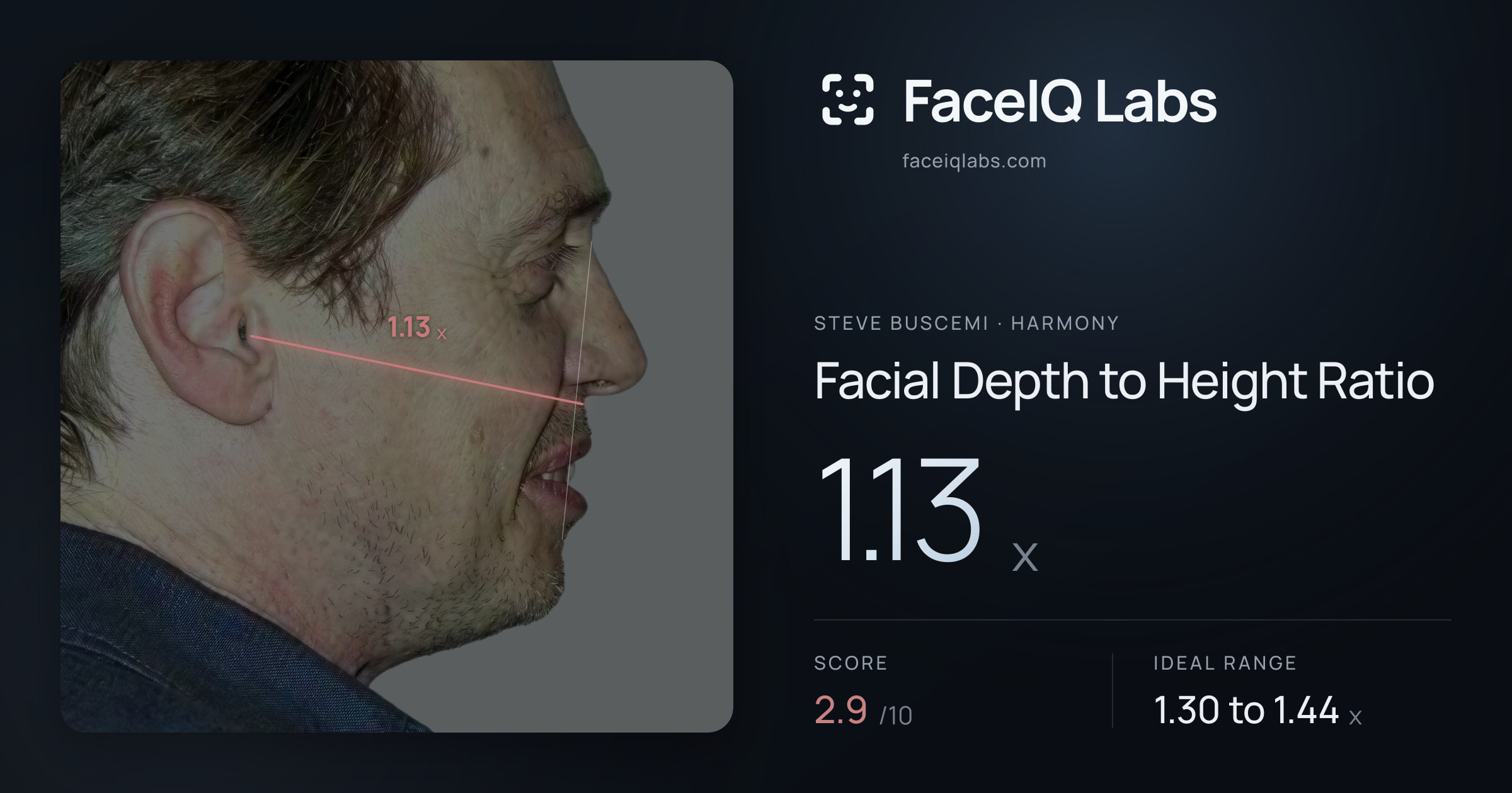 Steve Buscemi Facial Depth to Height Ratio: 1.13x, drawn on the photo