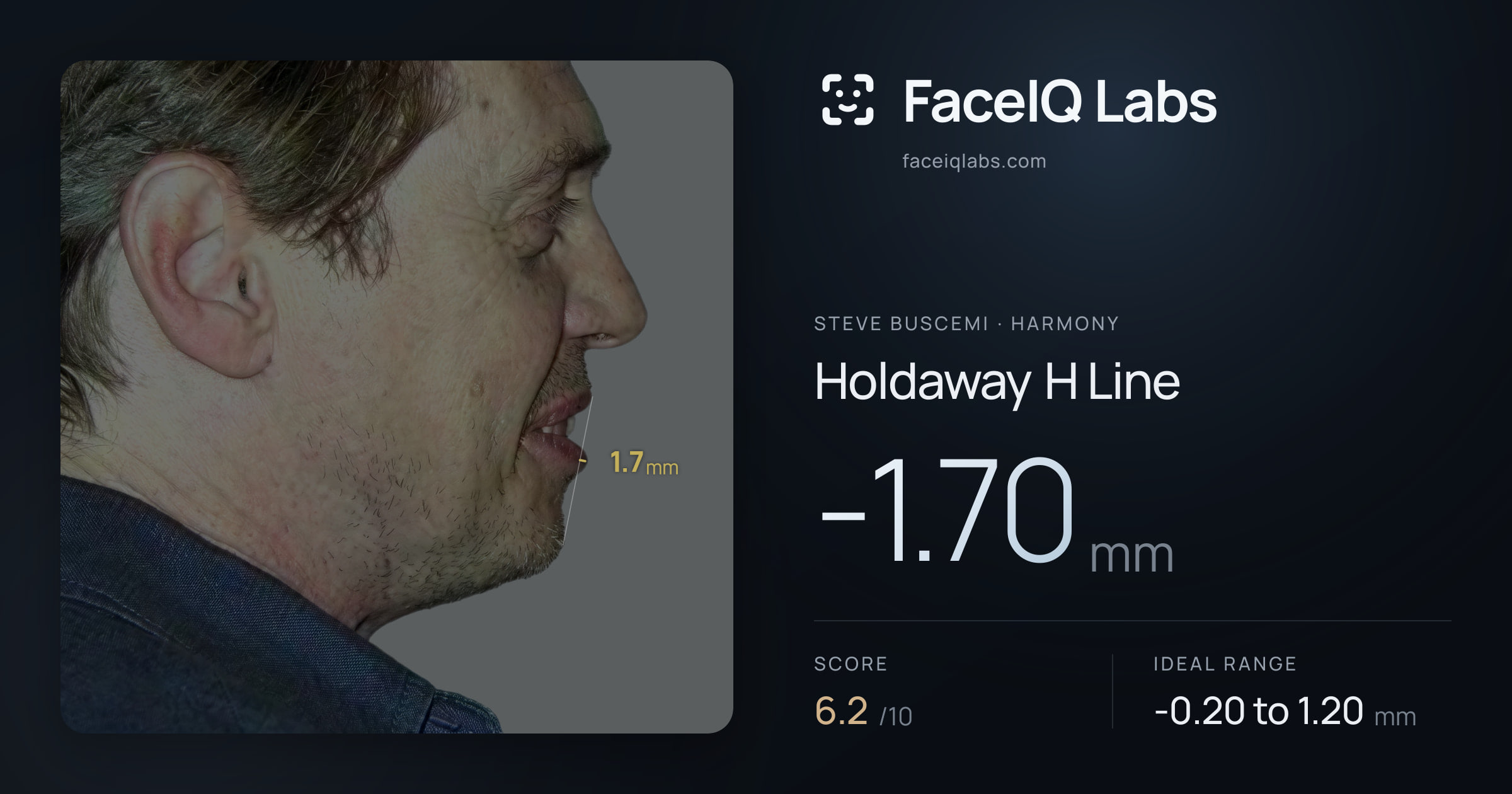Steve Buscemi Holdaway H Line: -1.70mm, drawn on the photo