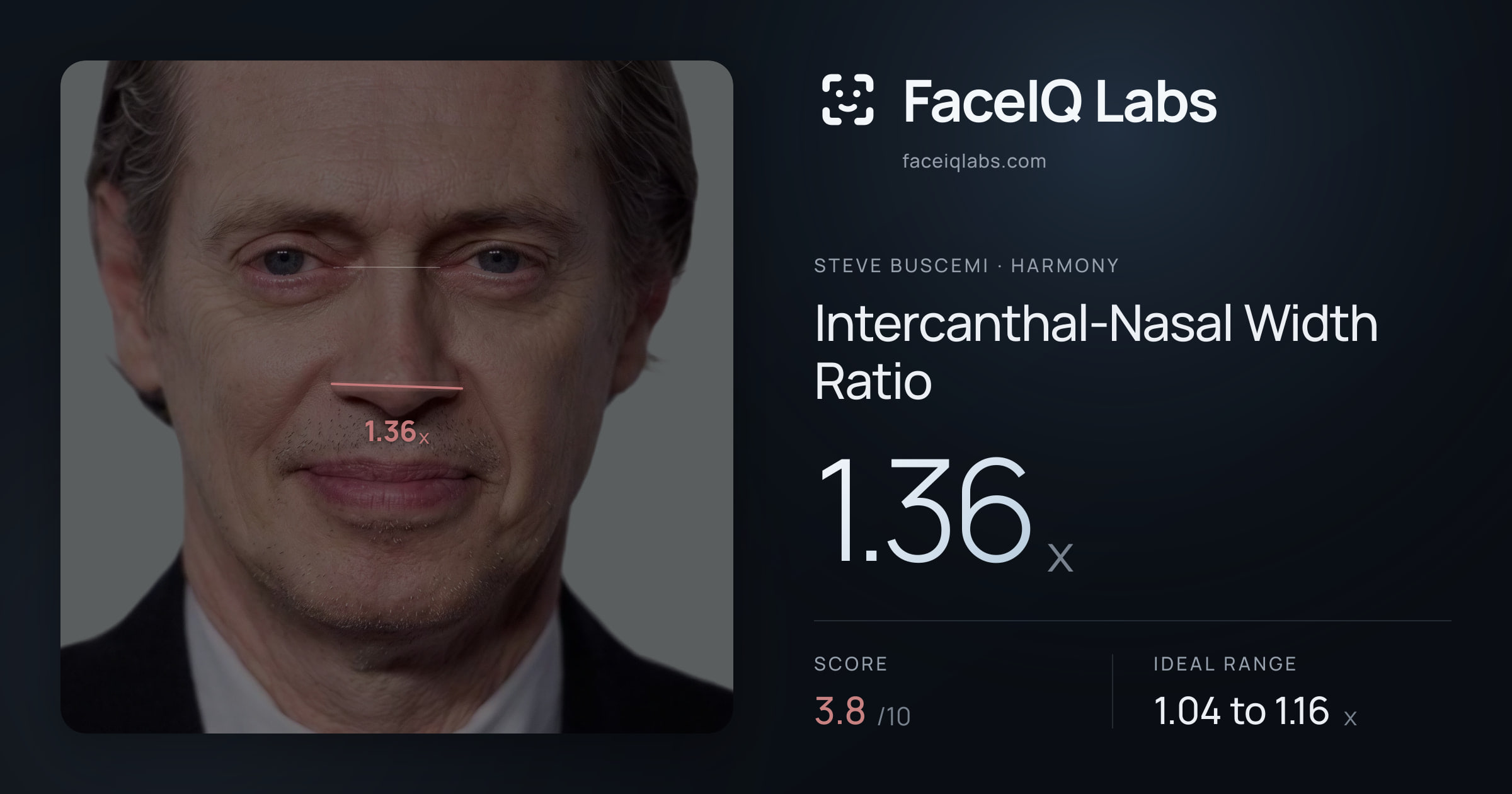Steve Buscemi Intercanthal-Nasal Width Ratio: 1.36x, drawn on the photo