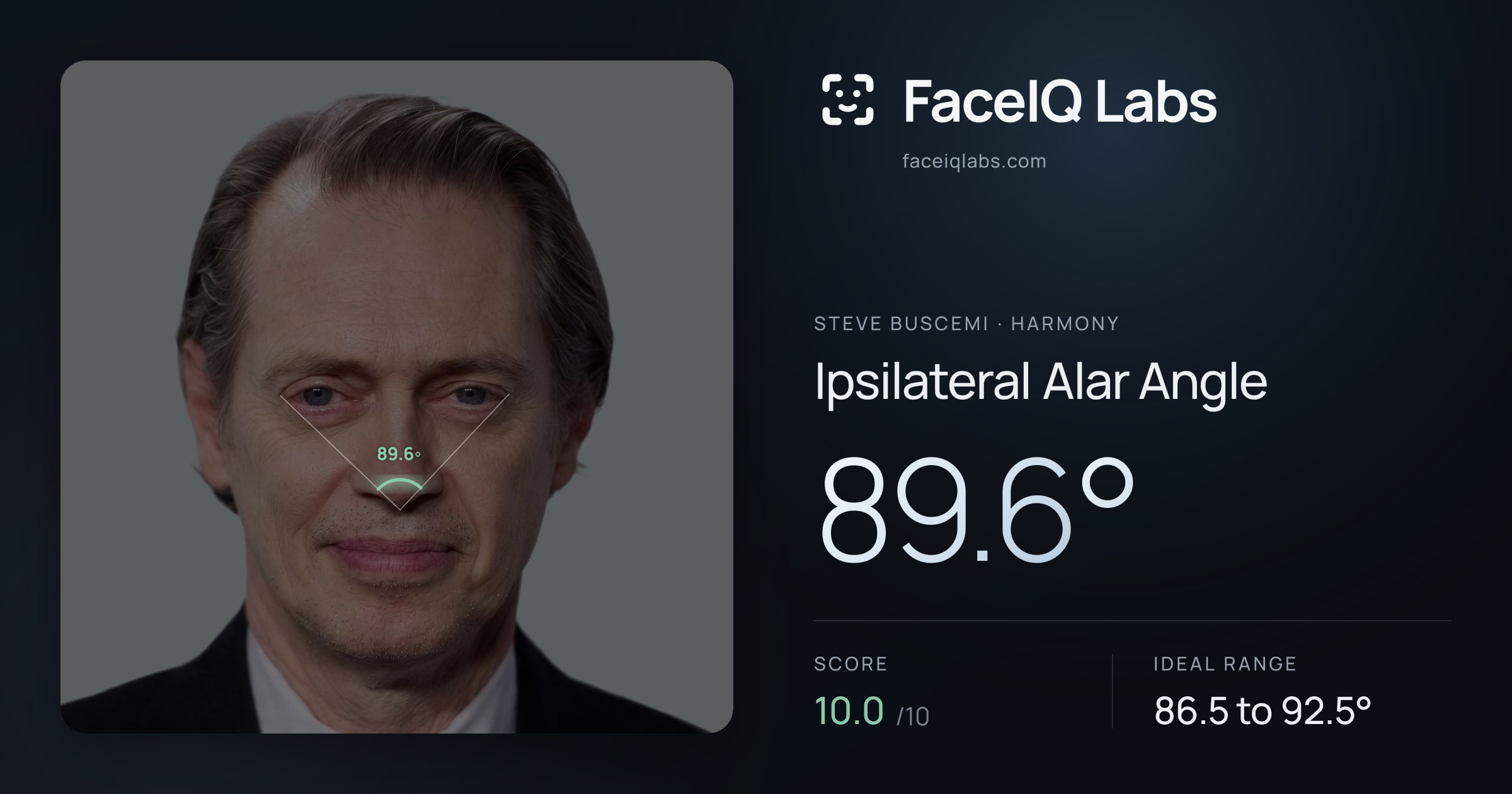 Steve Buscemi Ipsilateral Alar Angle: 89.6°, drawn on the photo