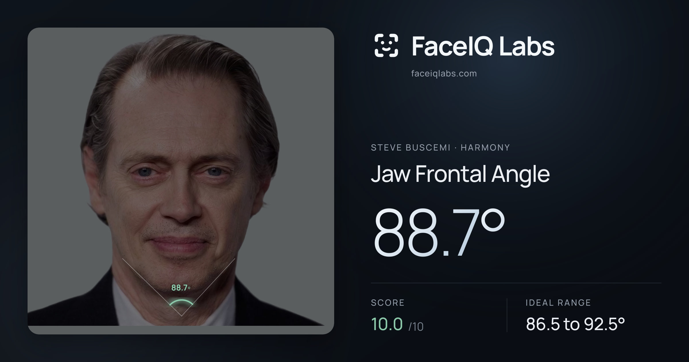 Steve Buscemi Jaw Frontal Angle: 88.7°, drawn on the photo