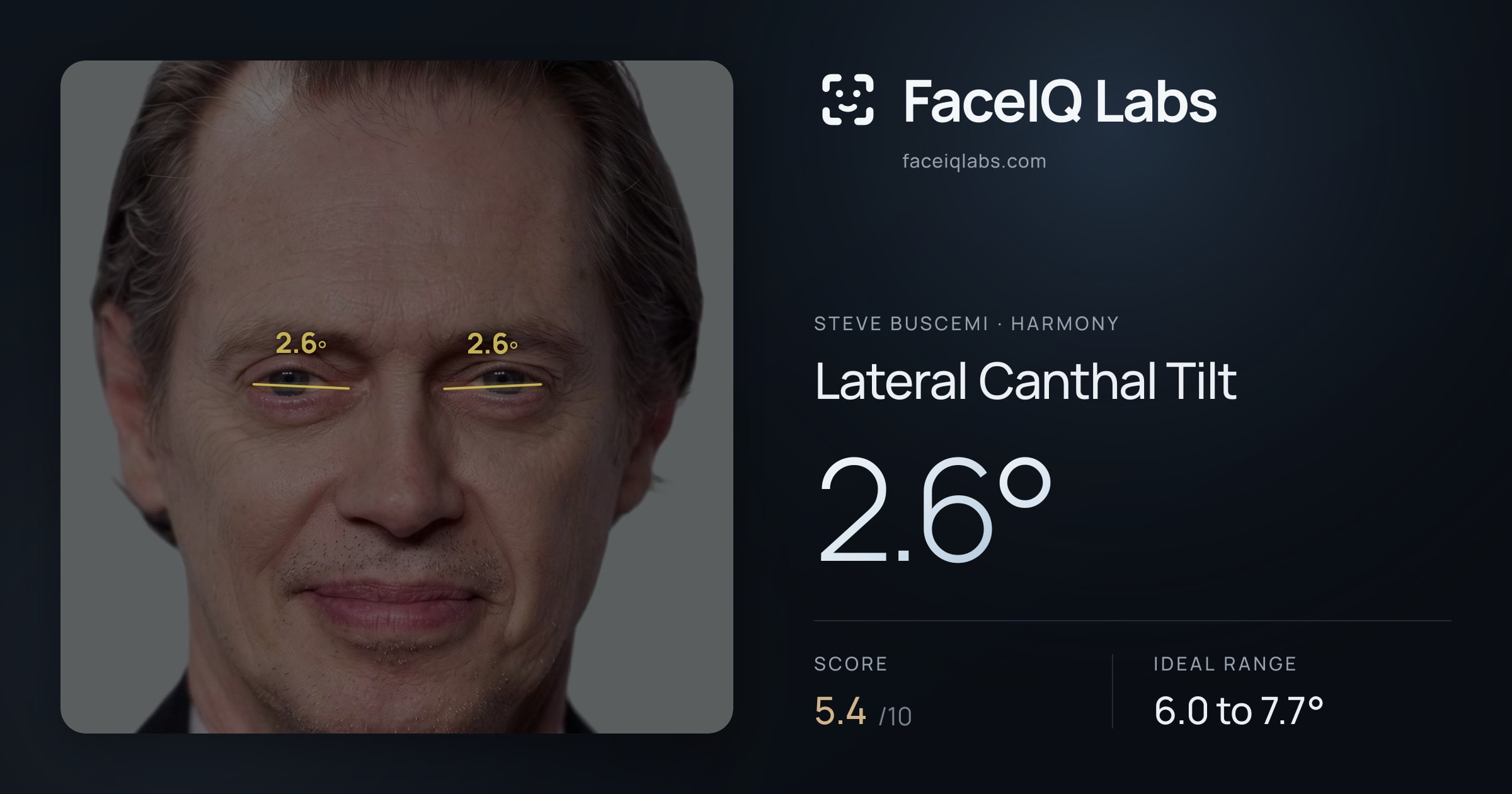 Steve Buscemi Lateral Canthal Tilt: 2.6°, drawn on the photo