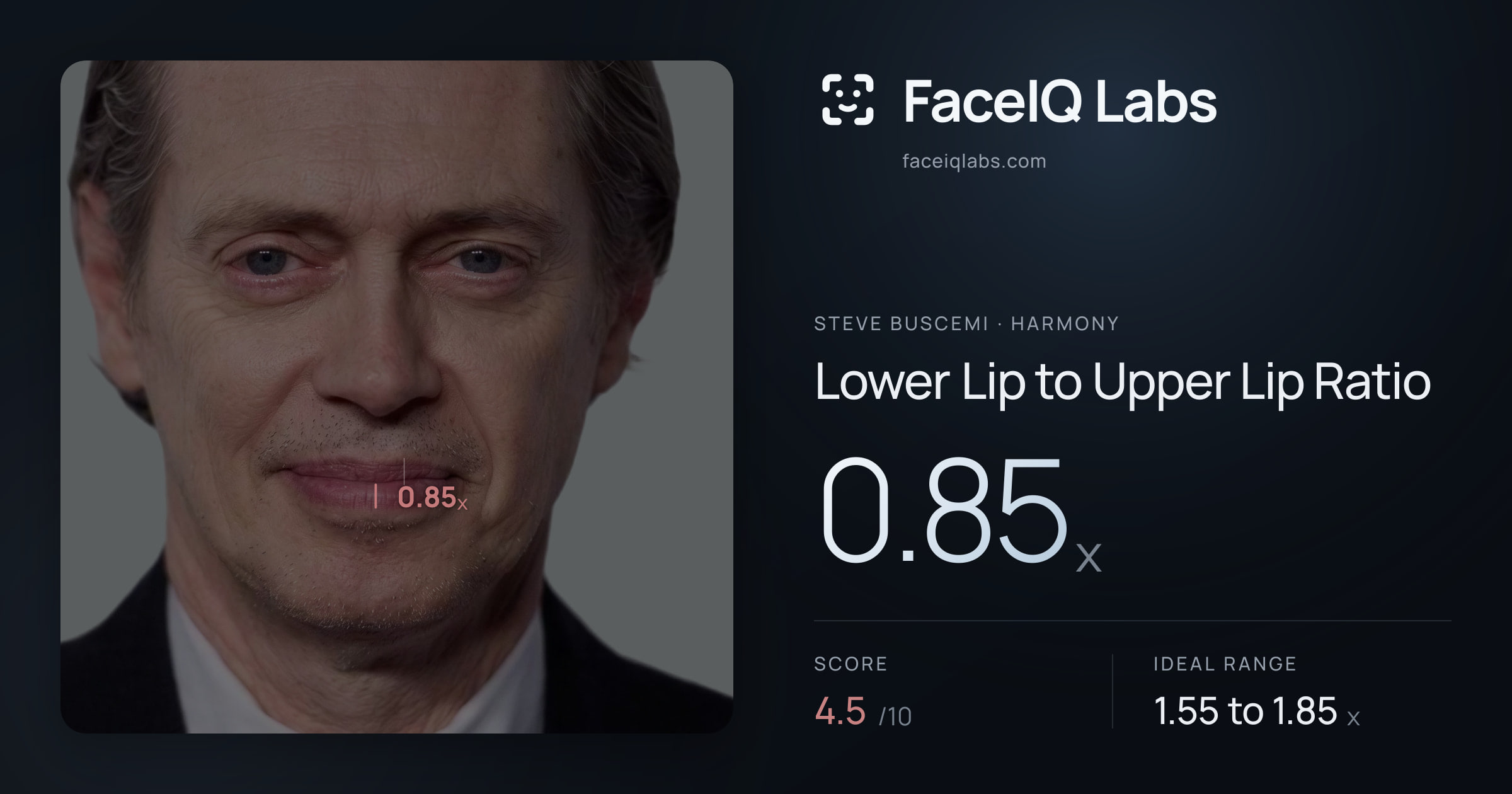 Steve Buscemi Lower Lip to Upper Lip Ratio: 0.85x, drawn on the photo
