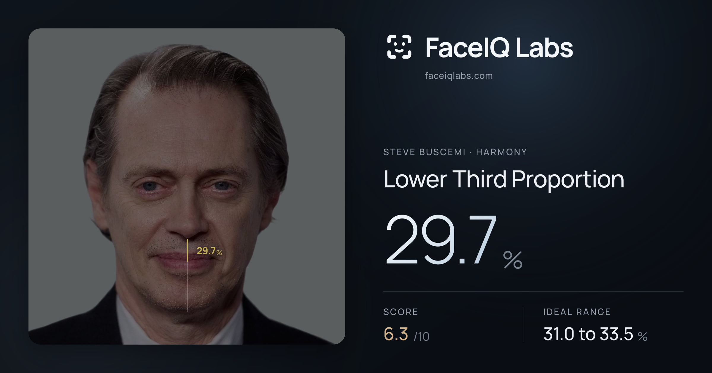 Steve Buscemi Lower Third Proportion: 29.7%, drawn on the photo