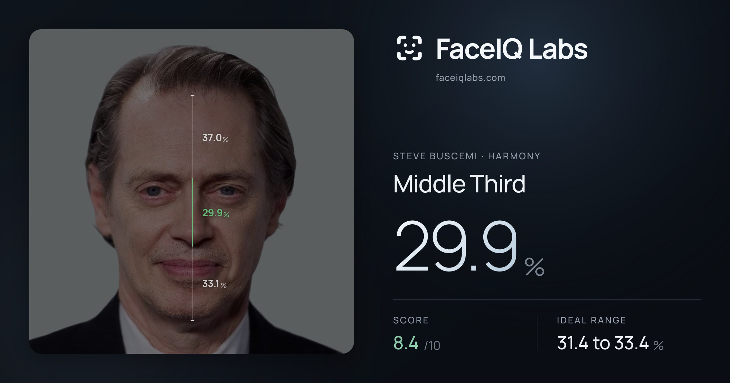 Steve Buscemi Middle Third: 29.9%, drawn on the photo