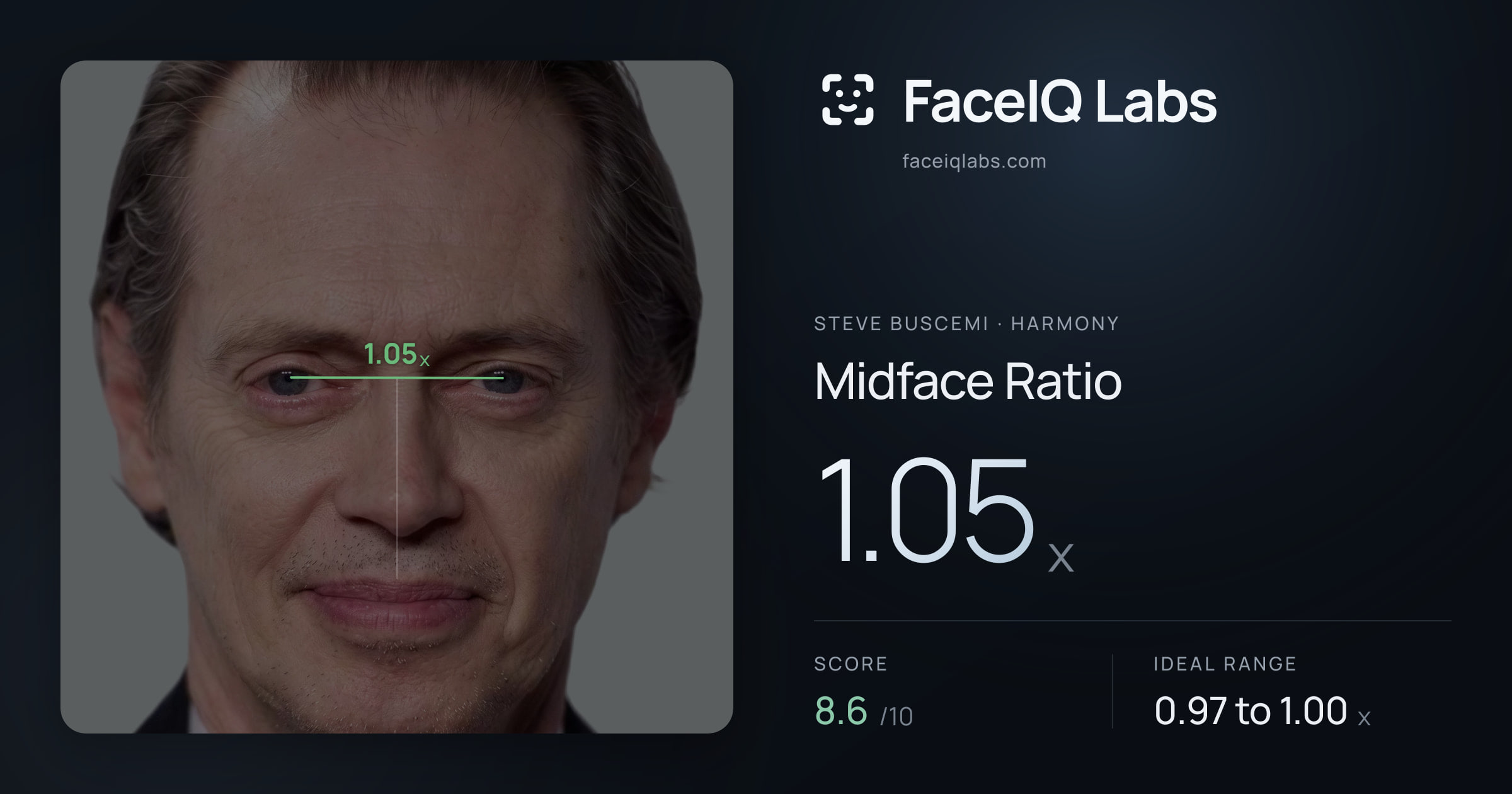 Steve Buscemi Midface Ratio: 1.05x, drawn on the photo