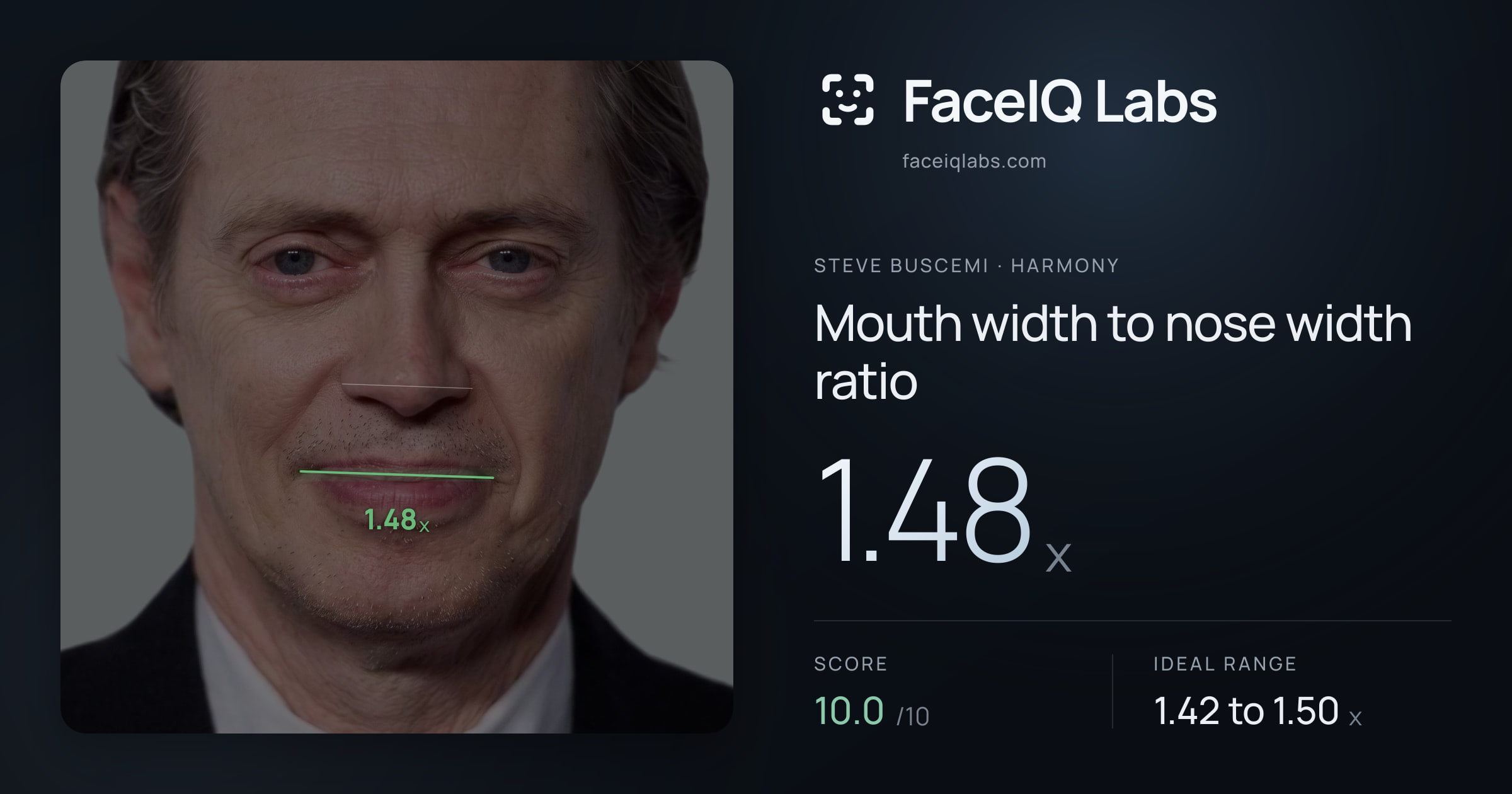 Steve Buscemi Mouth width to nose width ratio: 1.48x, drawn on the photo