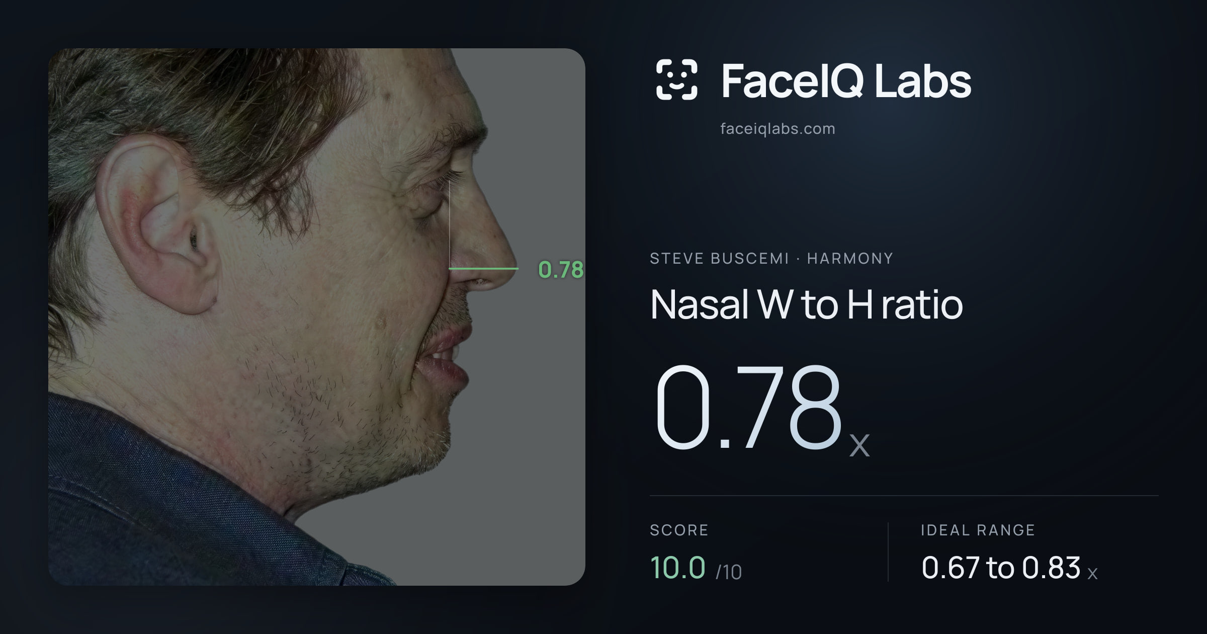 Steve Buscemi Nasal W to H ratio: 0.78x, drawn on the photo