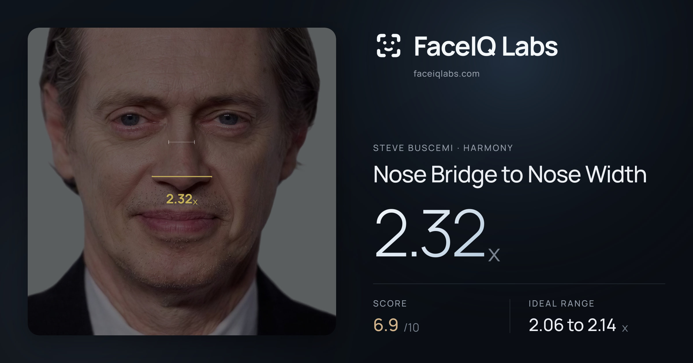 Steve Buscemi Nose Bridge to Nose Width: 2.32x, drawn on the photo