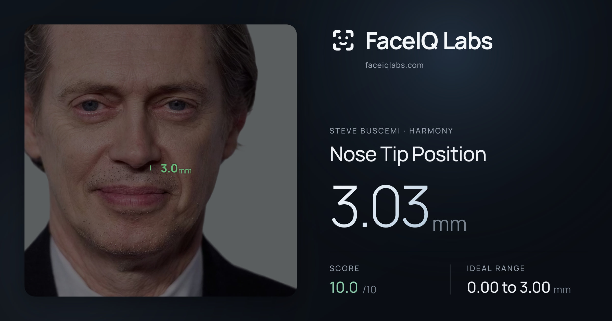 Steve Buscemi Nose Tip Position: 3.03mm, drawn on the photo