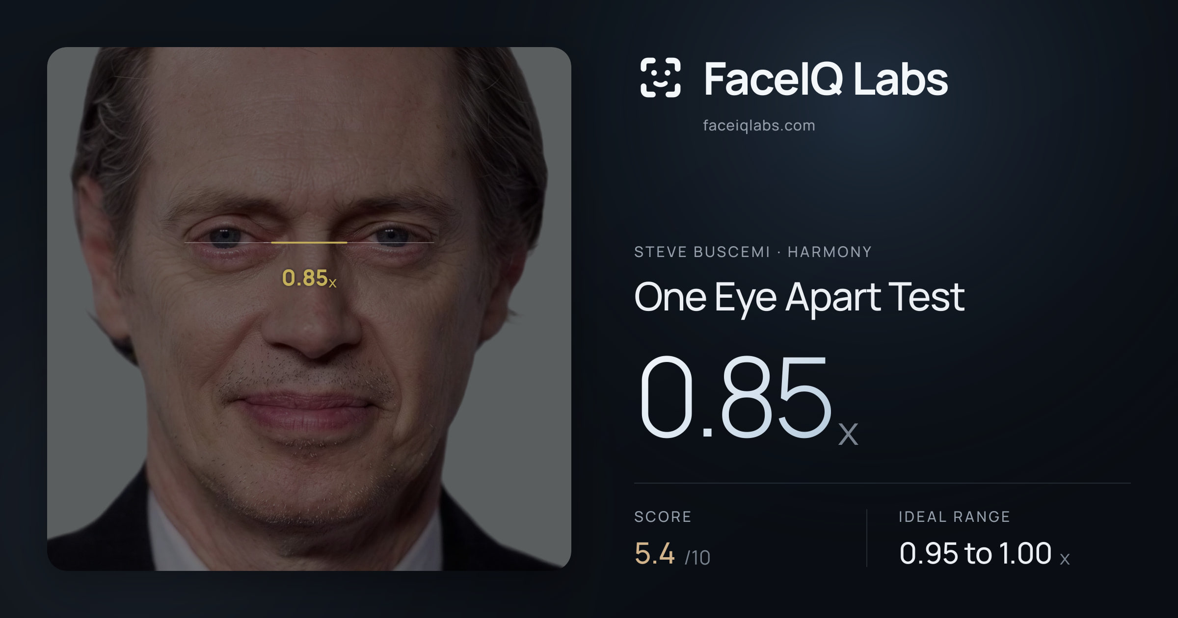 Steve Buscemi One Eye Apart Test: 0.85x, drawn on the photo