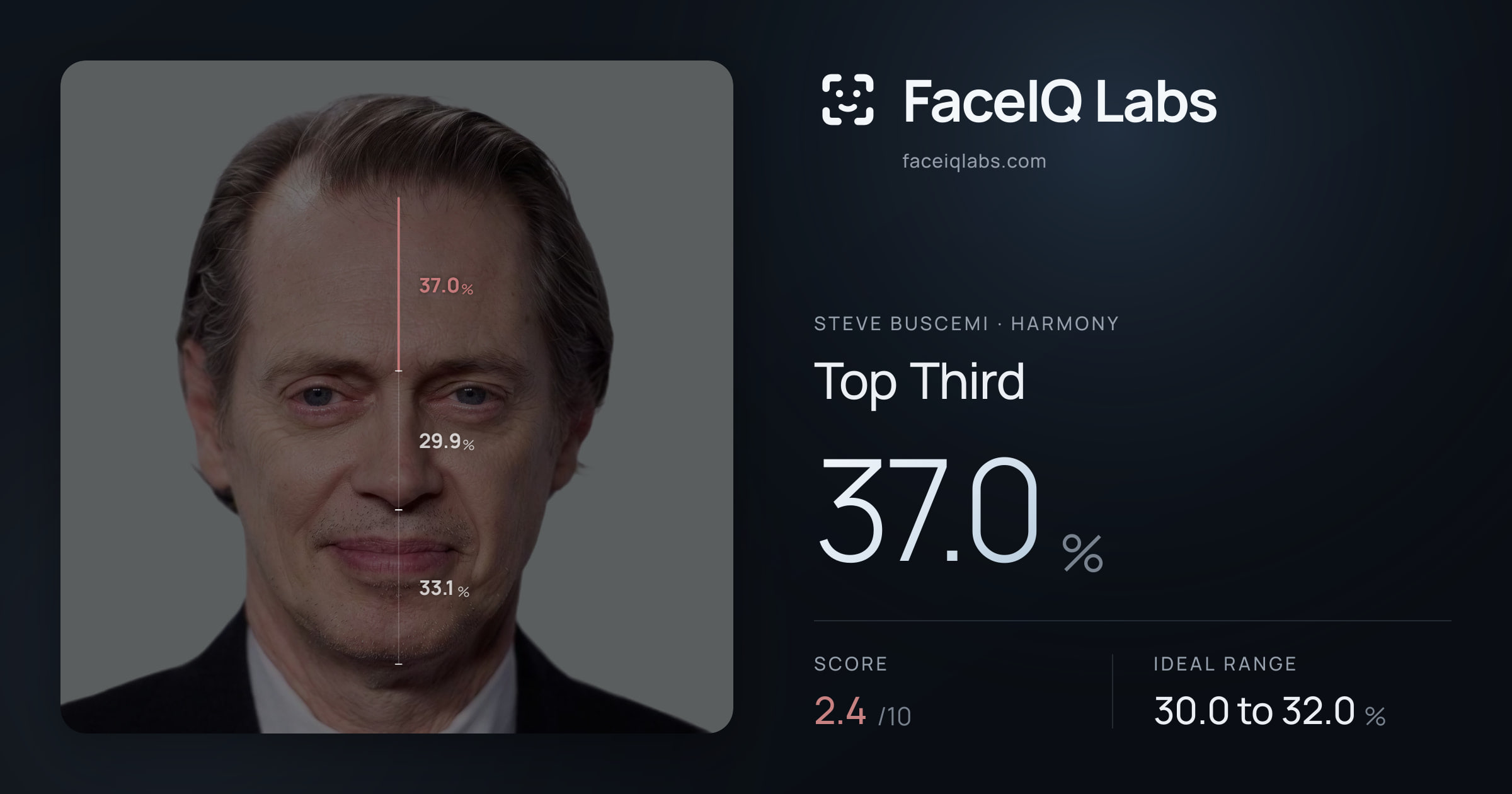 Steve Buscemi Top Third: 37.0%, drawn on the photo
