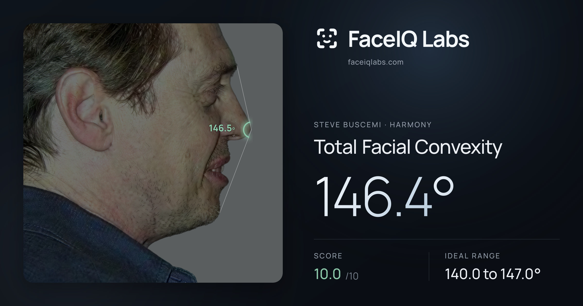 Steve Buscemi Total Facial Convexity: 146.4°, drawn on the photo