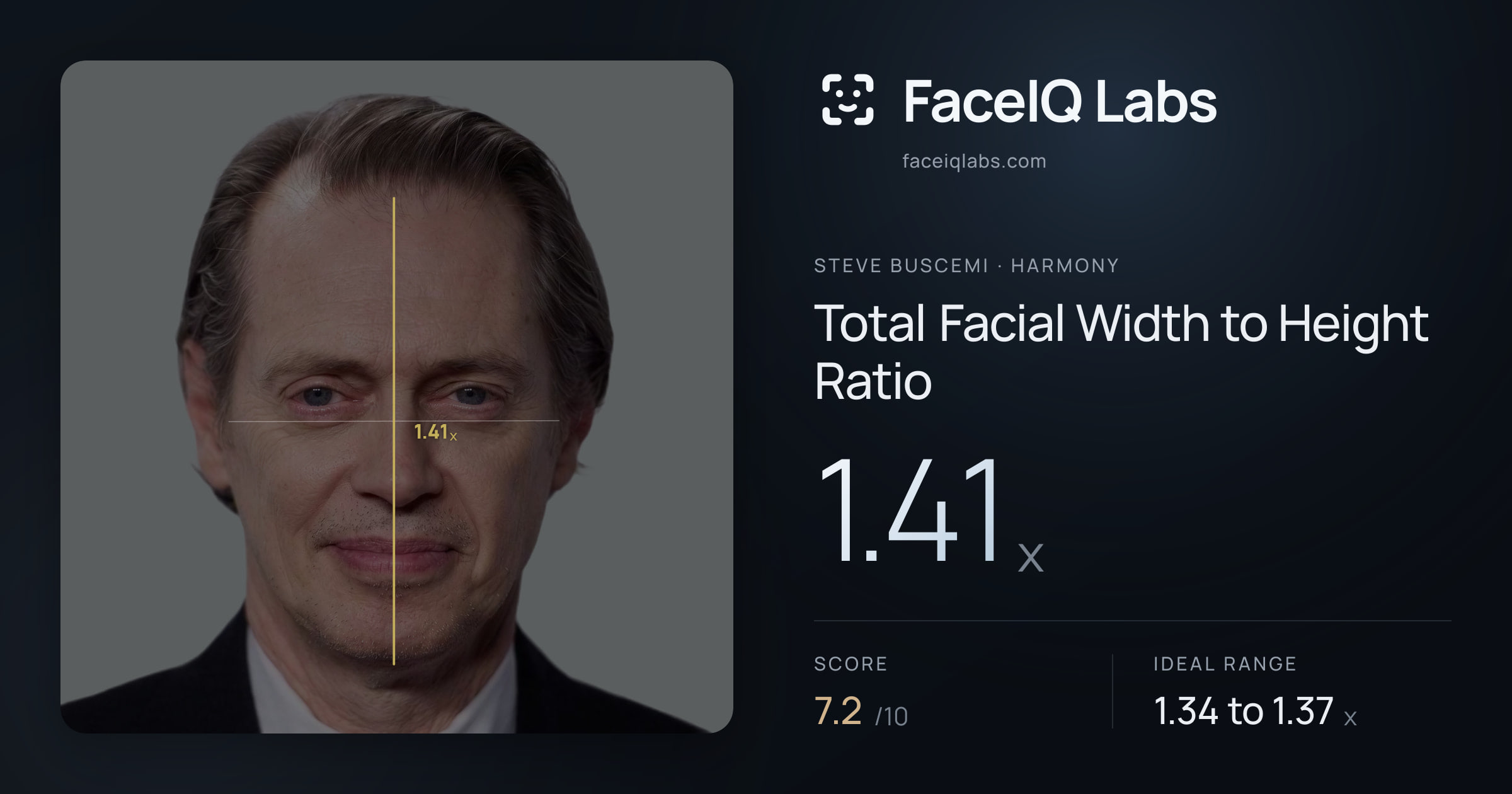Steve Buscemi Total Facial Width to Height Ratio: 1.41x, drawn on the photo