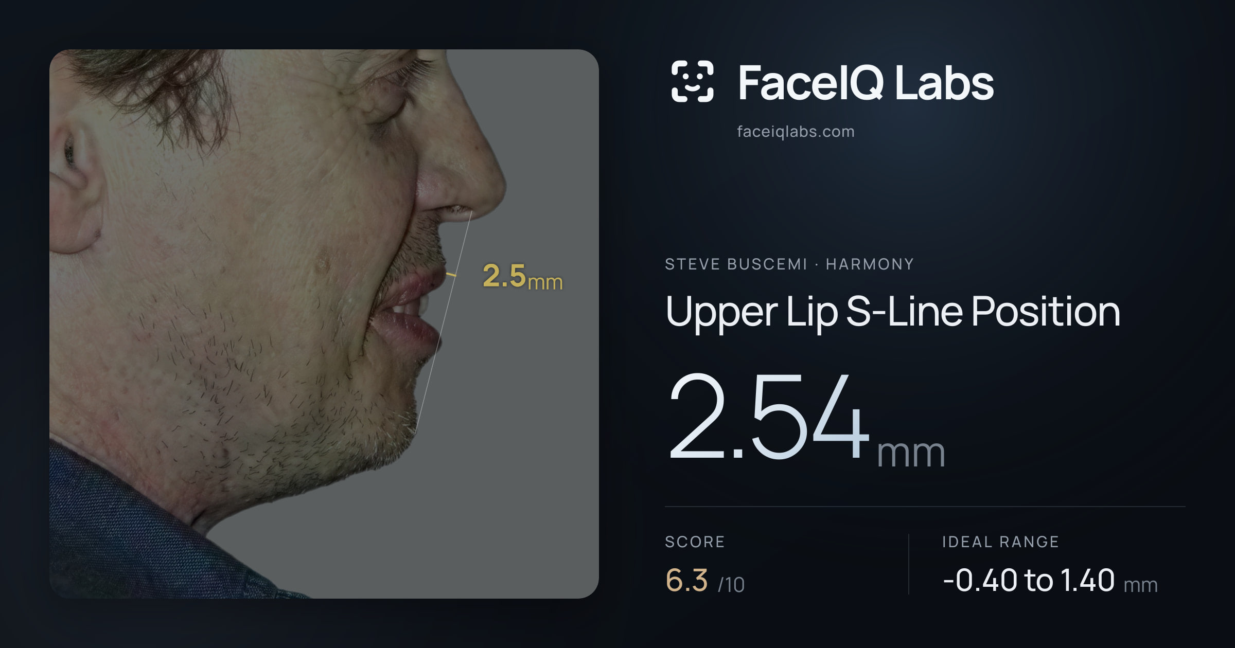 Steve Buscemi Upper Lip S-Line Position: 2.54mm, drawn on the photo