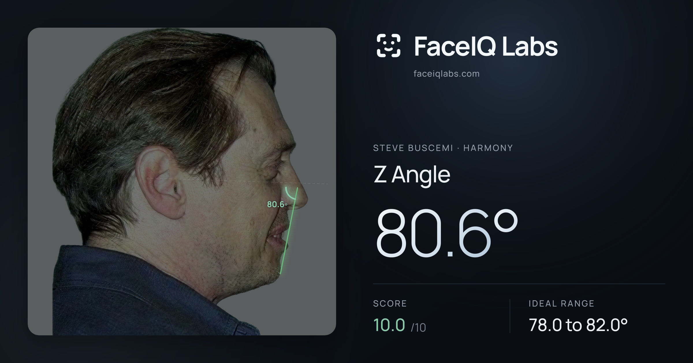 Steve Buscemi Z Angle: 80.6°, drawn on the photo