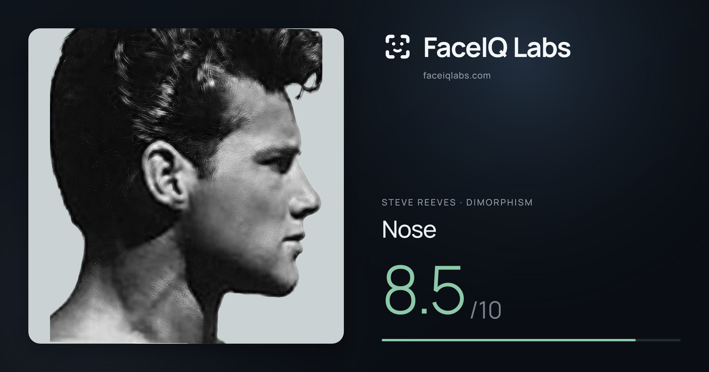 Steve Reeves Nose: 8.5/10, drawn on the photo