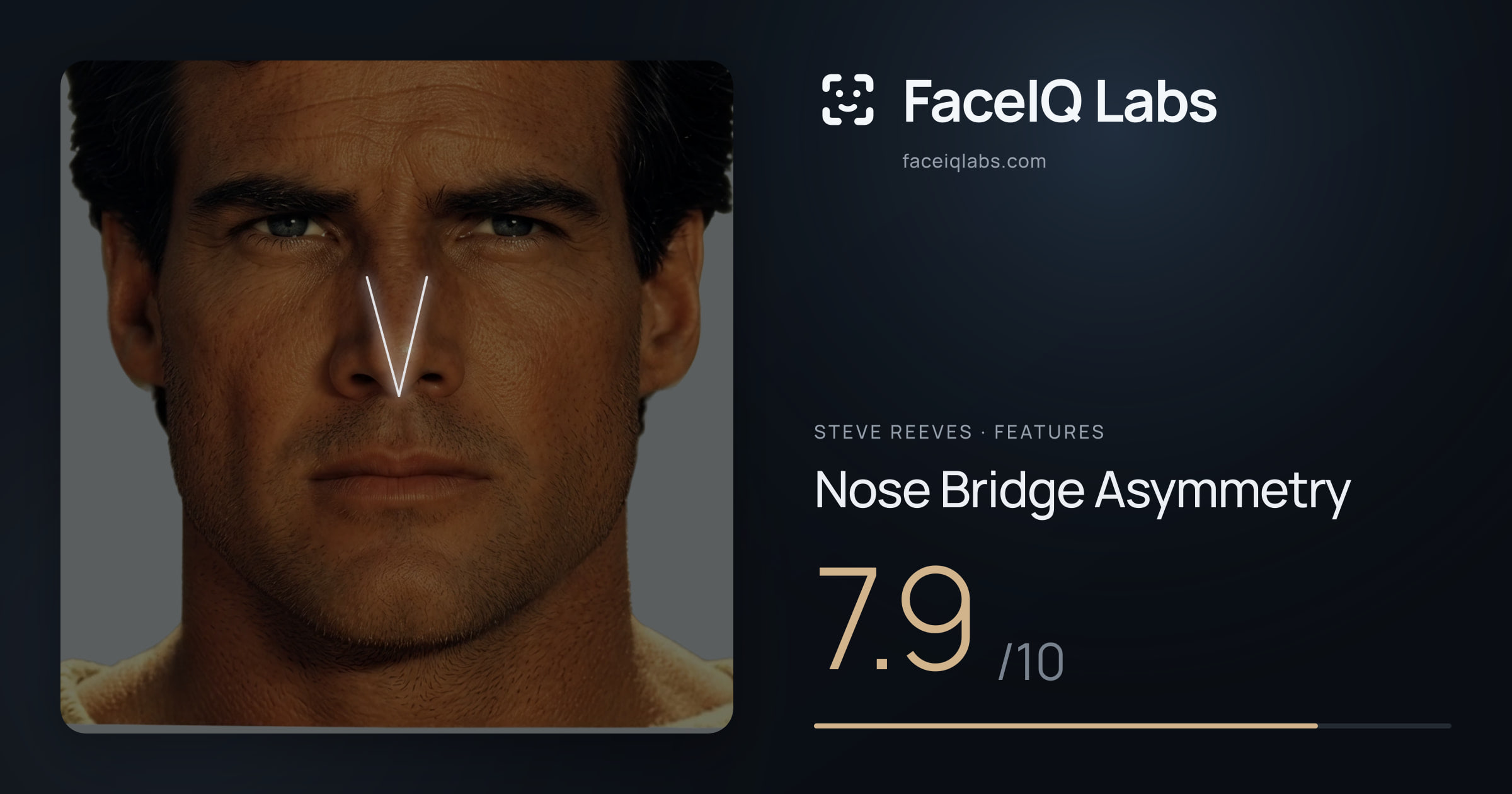 Steve Reeves Nose Bridge Asymmetry: 7.9/10, drawn on the photo