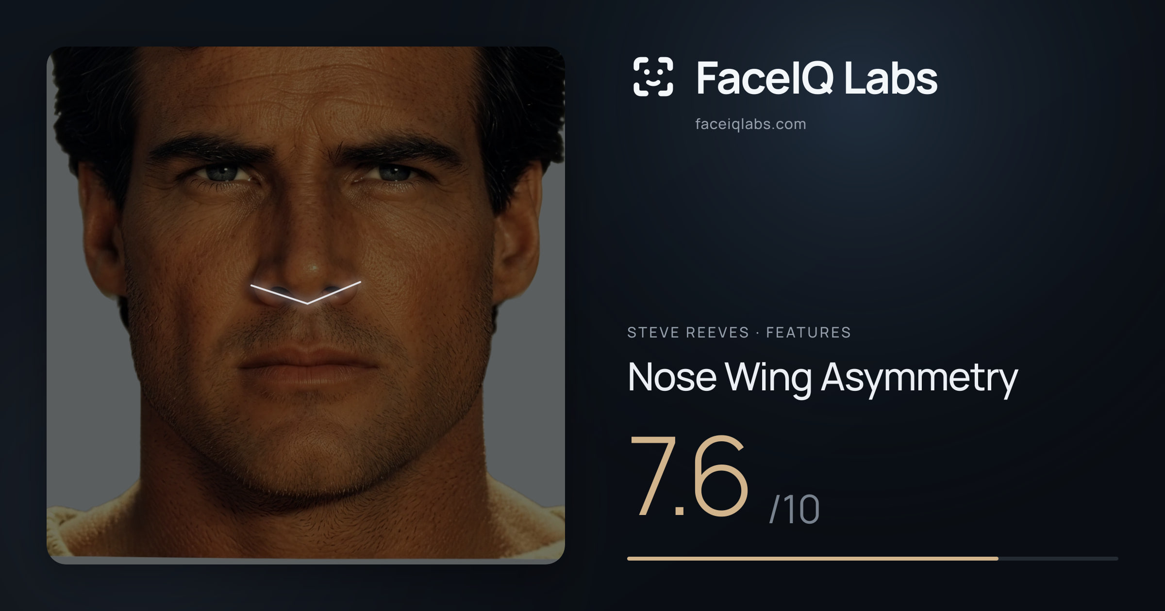 Steve Reeves Nose Wing Asymmetry: 7.6/10, drawn on the photo
