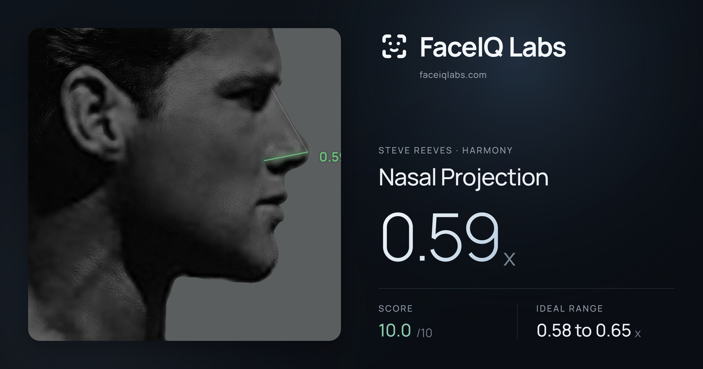Steve Reeves Nasal Projection: 0.59x, drawn on the photo