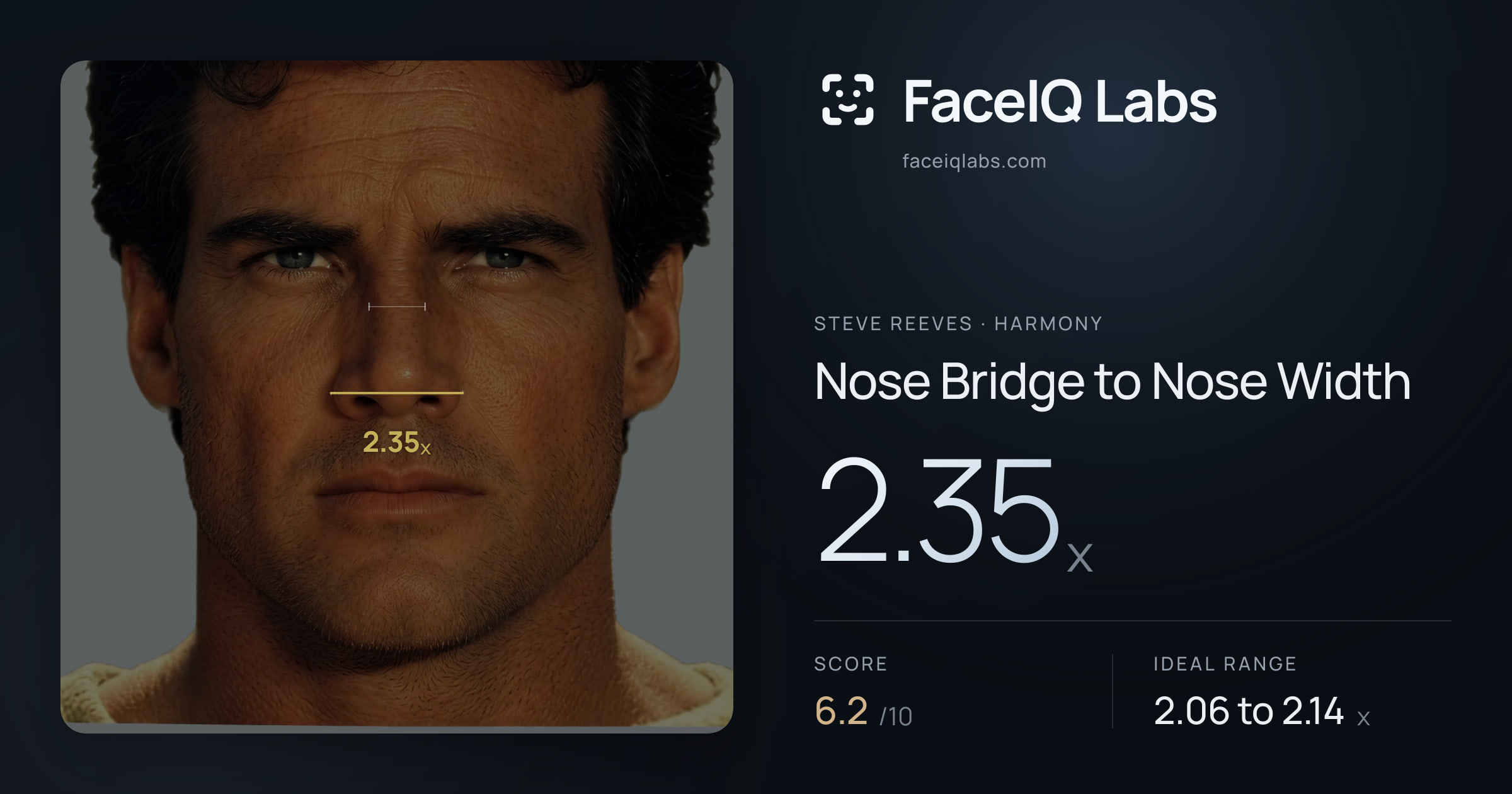 Steve Reeves Nose Bridge to Nose Width: 2.35x, drawn on the photo