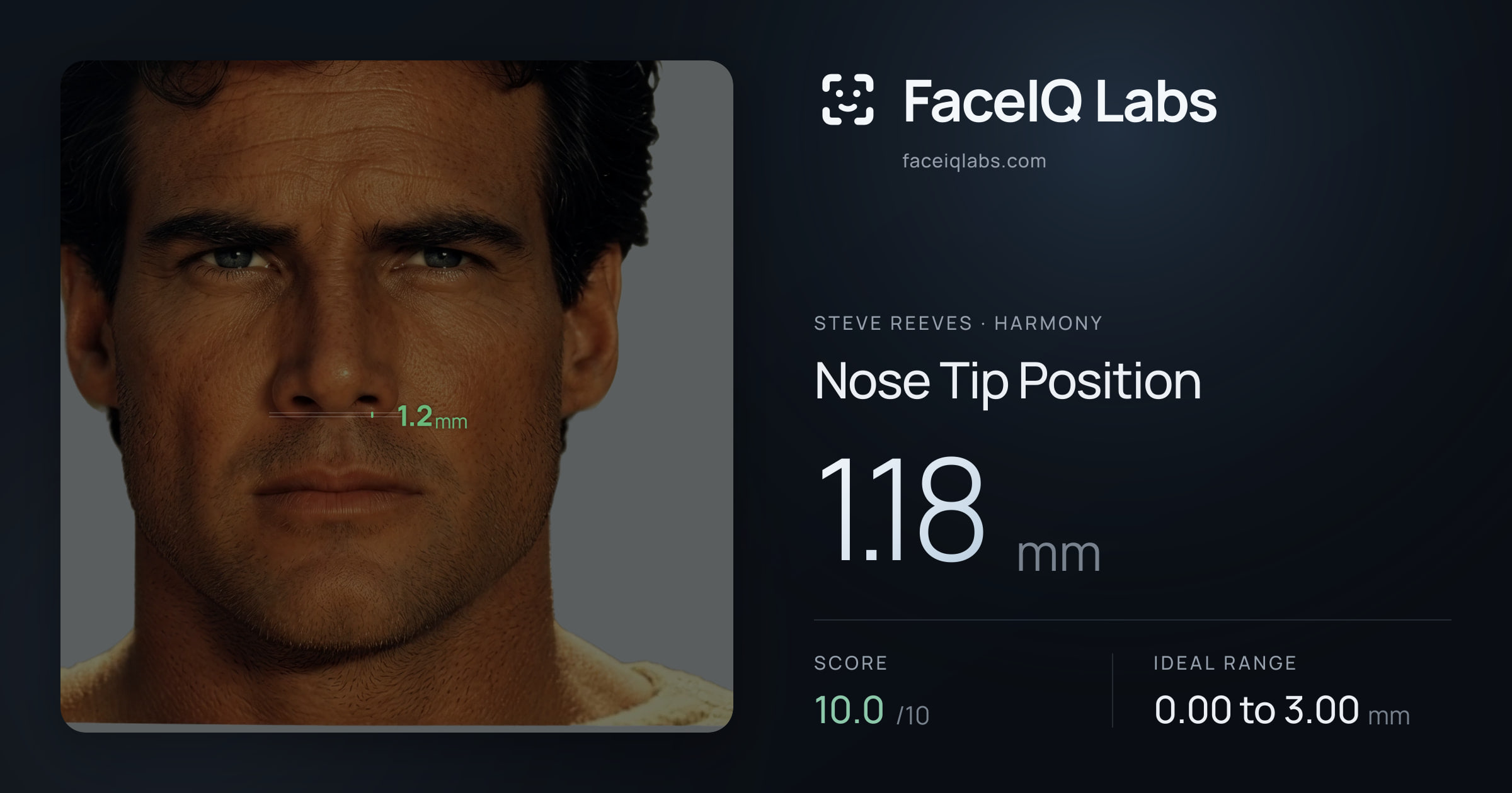 Steve Reeves Nose Tip Position: 1.18mm, drawn on the photo
