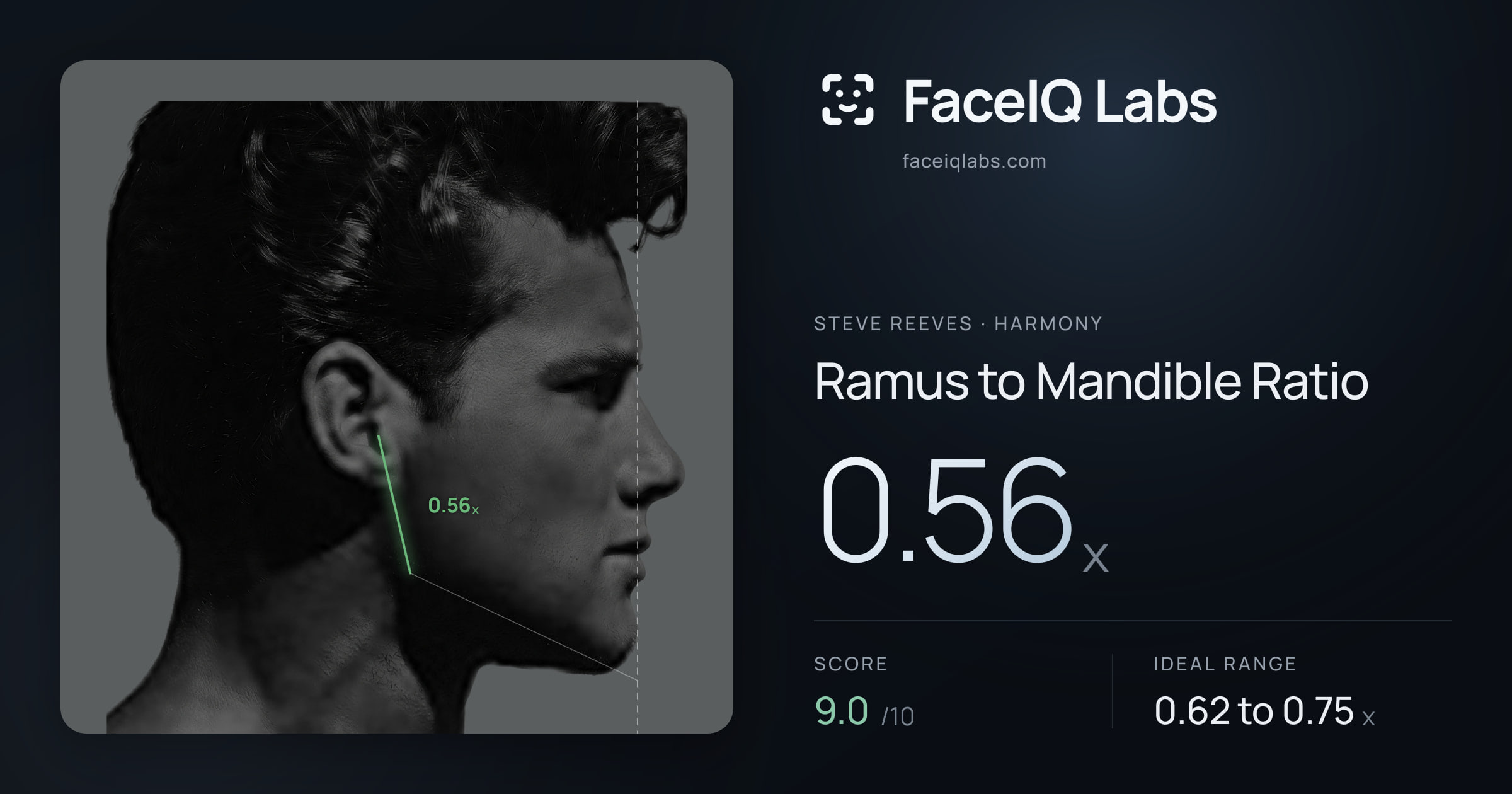 Steve Reeves Ramus to Mandible Ratio: 0.56x, drawn on the photo