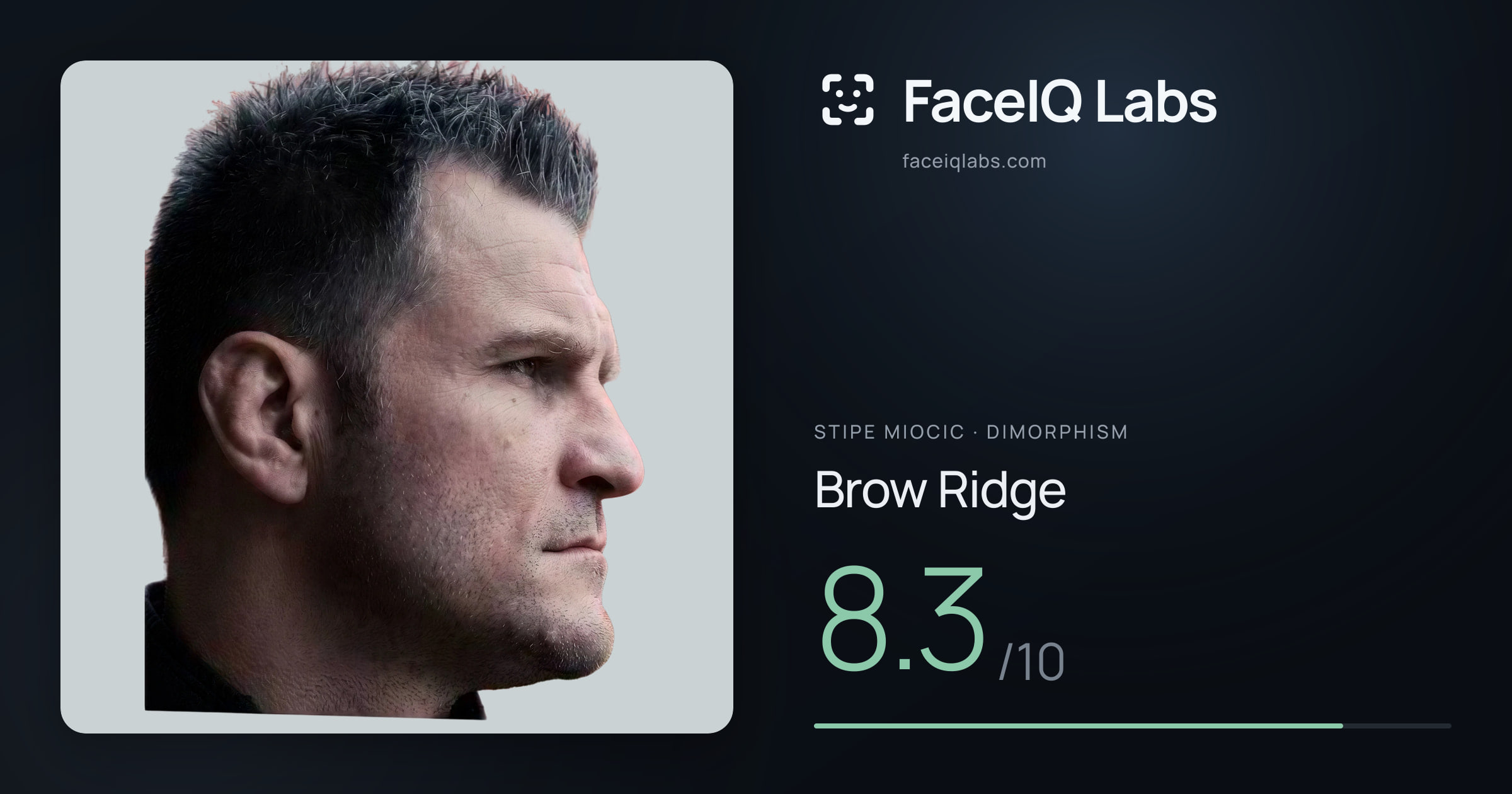 Stipe Miocic Brow Ridge: 8.3/10, drawn on the photo
