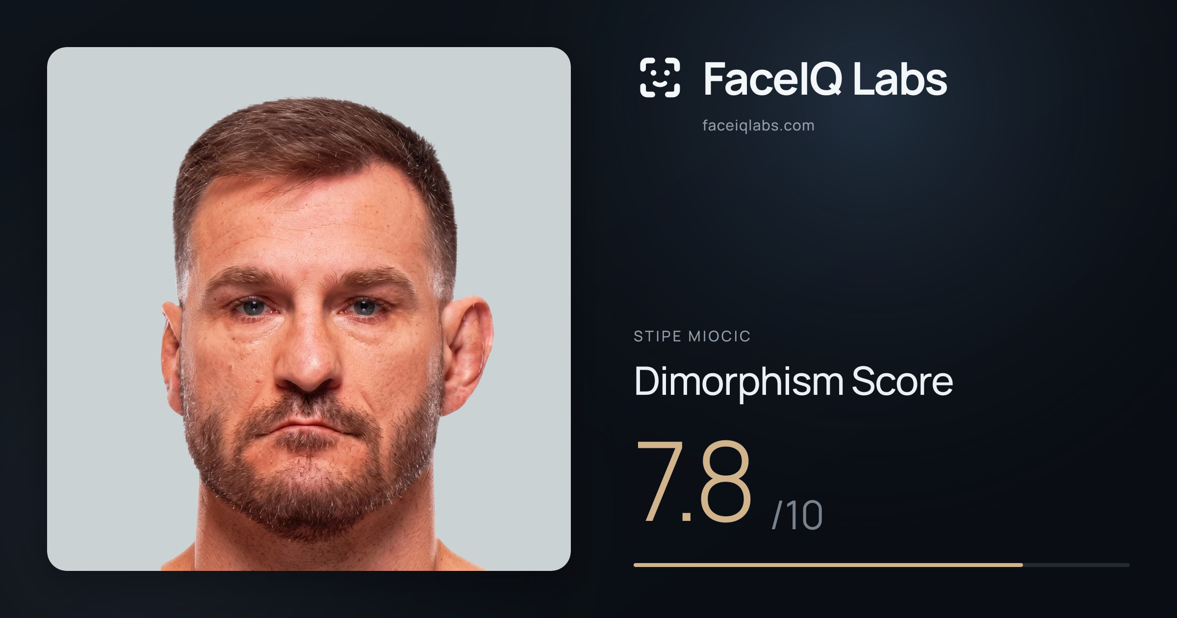 Stipe Miocic Dimorphism: 7.8/10, with each assessment drawn on the photo
