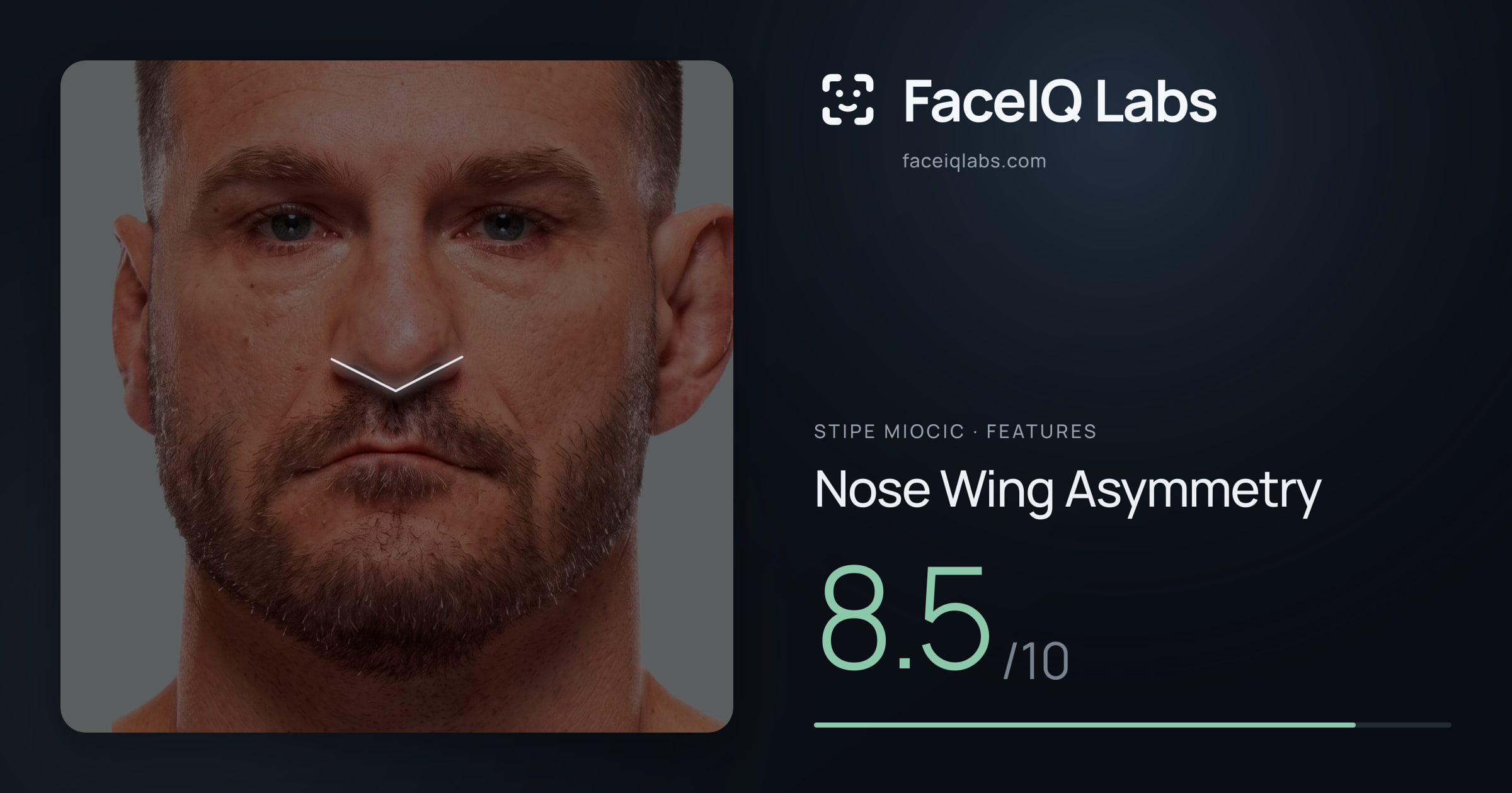 Stipe Miocic Nose Wing Asymmetry: 8.5/10, drawn on the photo