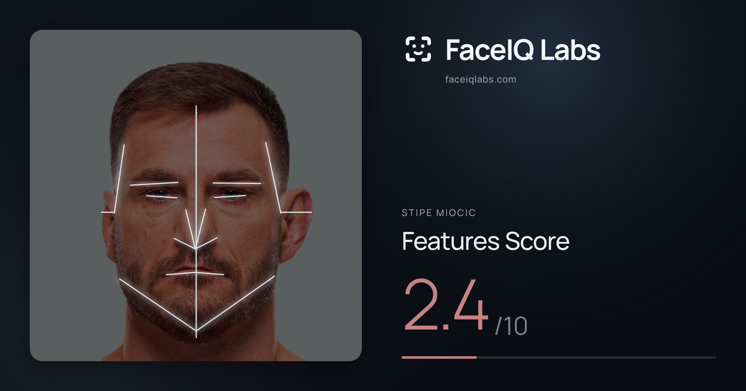 Stipe Miocic Features: 2.4/10, with each assessment drawn on the photo