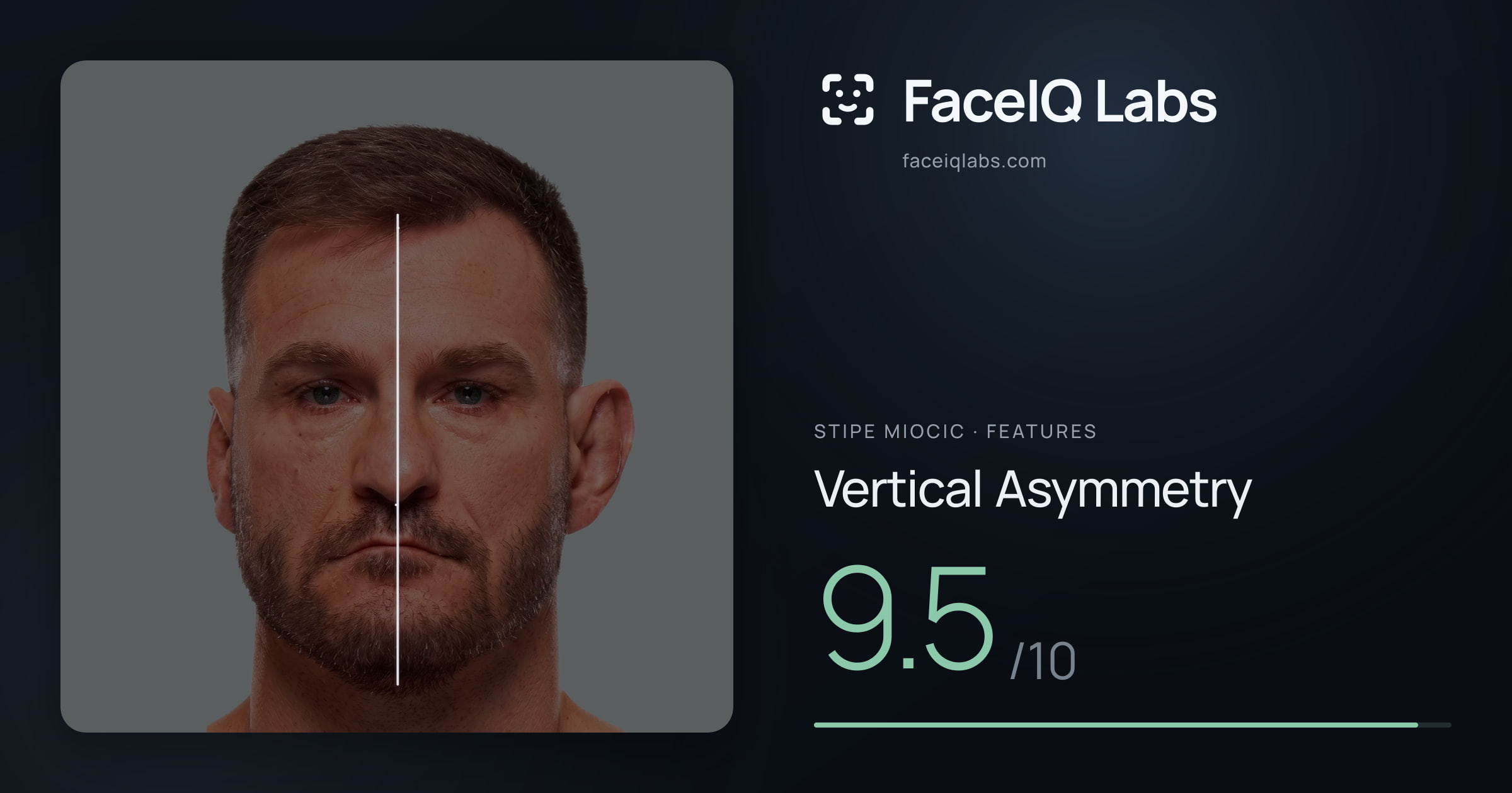 Stipe Miocic Vertical Asymmetry: 9.5/10, drawn on the photo