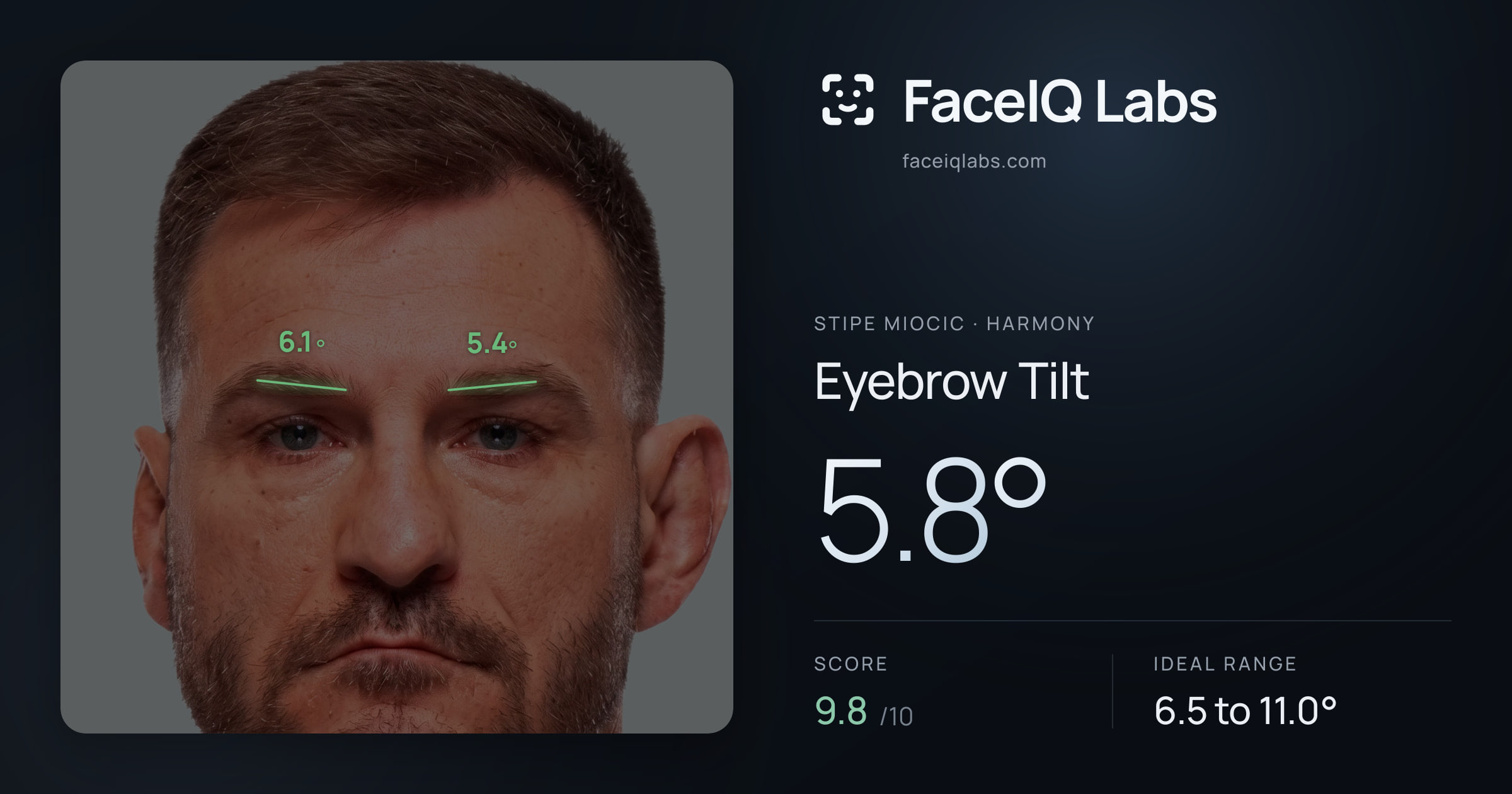 Stipe Miocic Eyebrow Tilt: 5.8°, drawn on the photo
