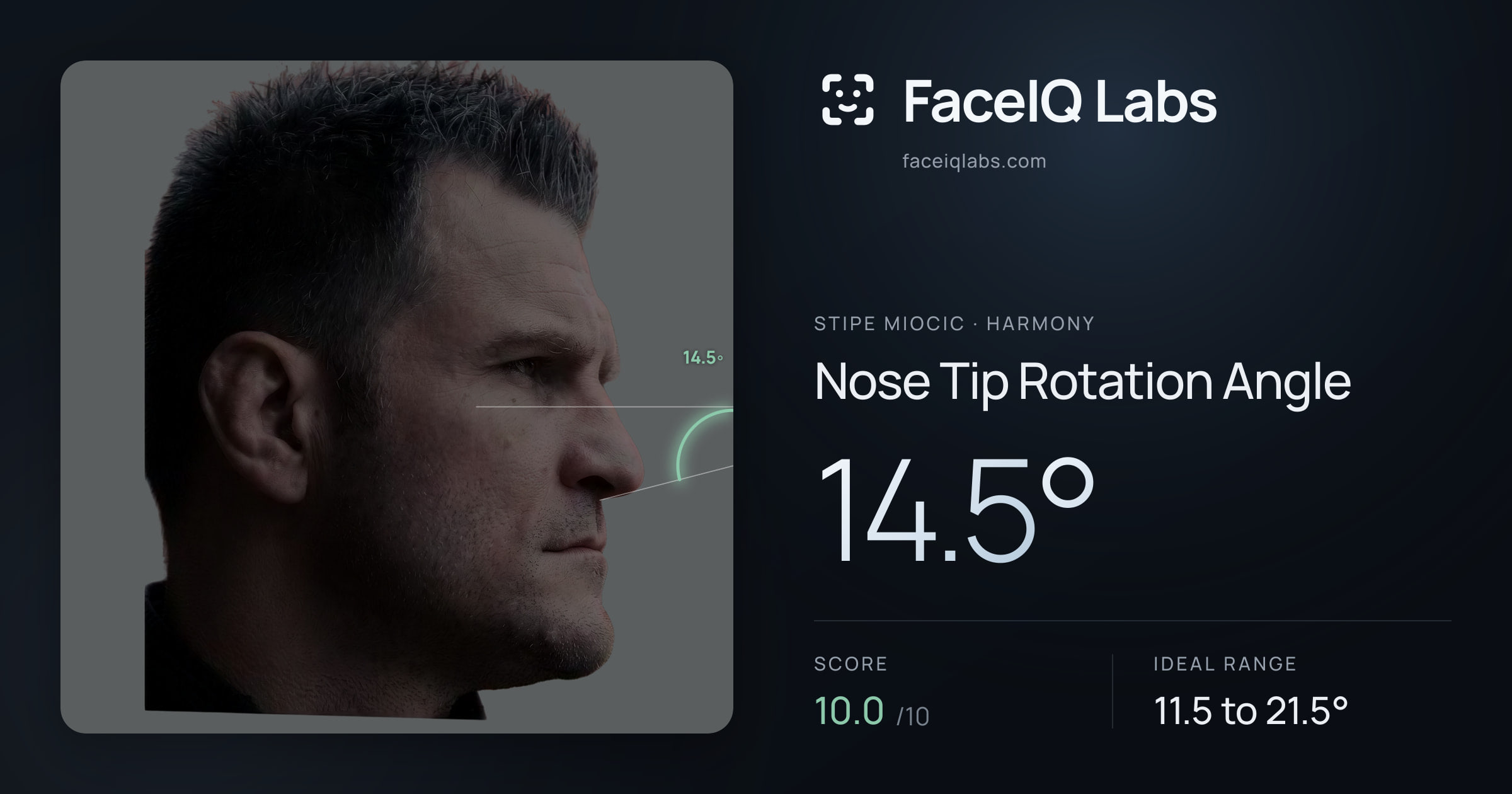 Stipe Miocic Nose Tip Rotation Angle: 14.5°, drawn on the photo