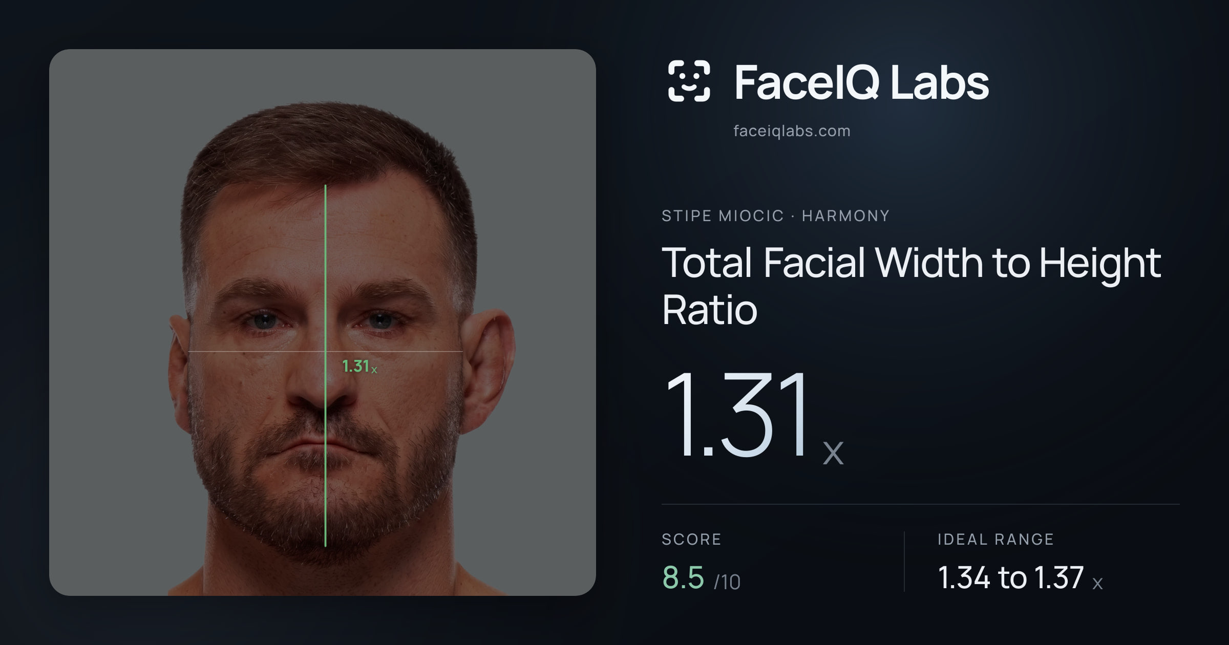 Stipe Miocic Total Facial Width to Height Ratio: 1.31x, drawn on the photo